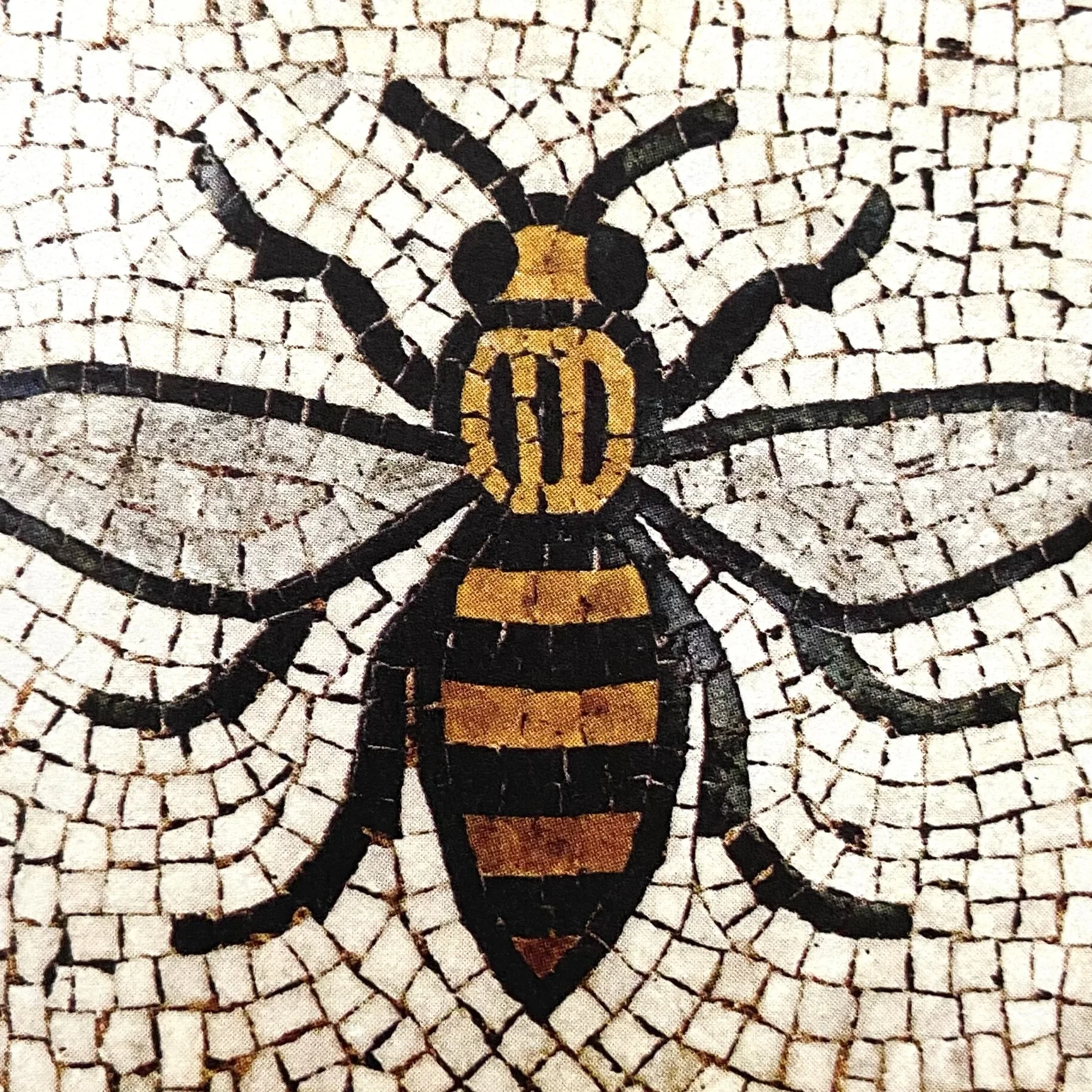 89621F2D-6806-490E-A5E6-CD13A3BD6CDC