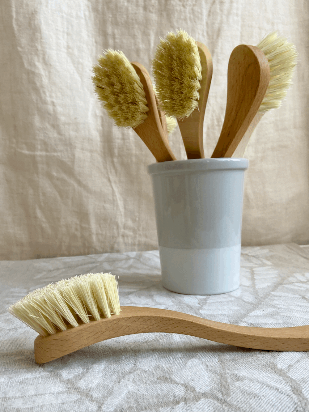 Dish Brush | Soft Bristle