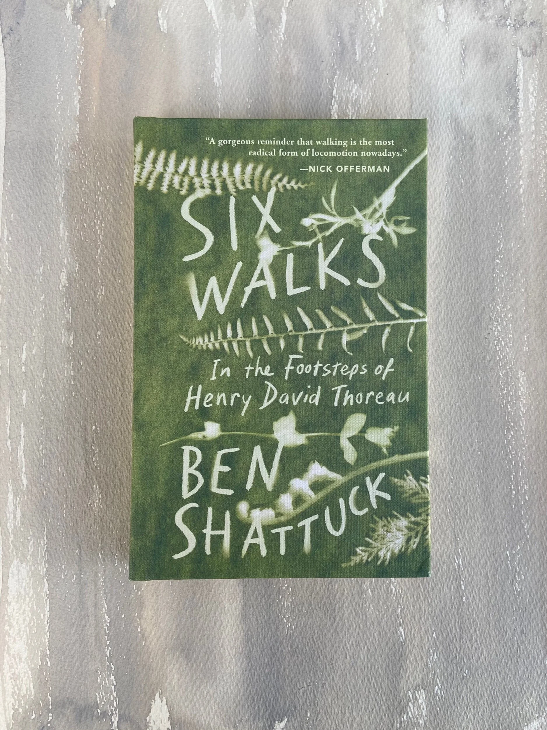 74EF4DEA-B5C7-4D9D-8802-B6B33C876F7F