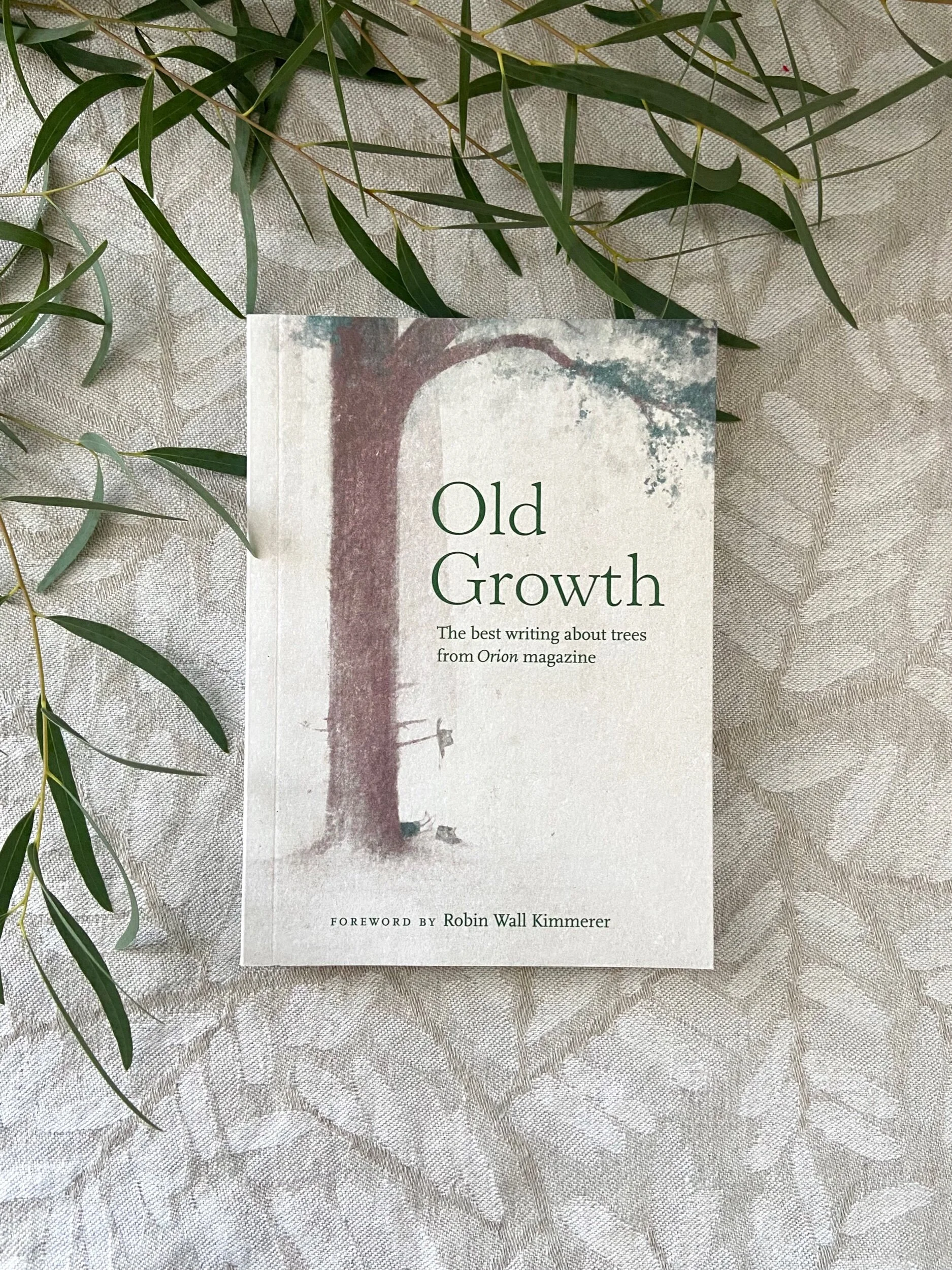 DC970F8E-749D-4028-BC74-78D66B46266D