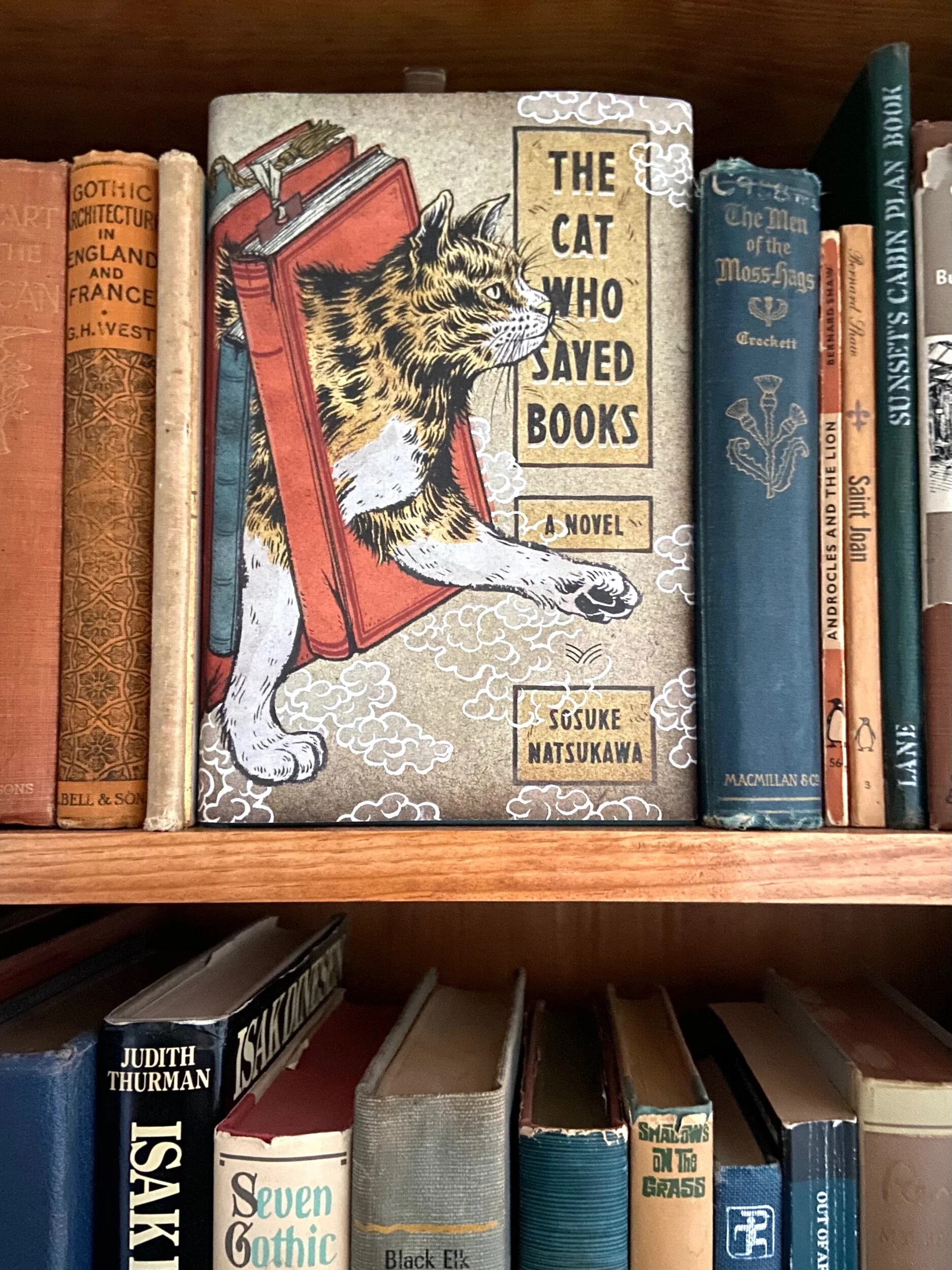 AD447560-523B-4EA8-965D-F43DAEC74117