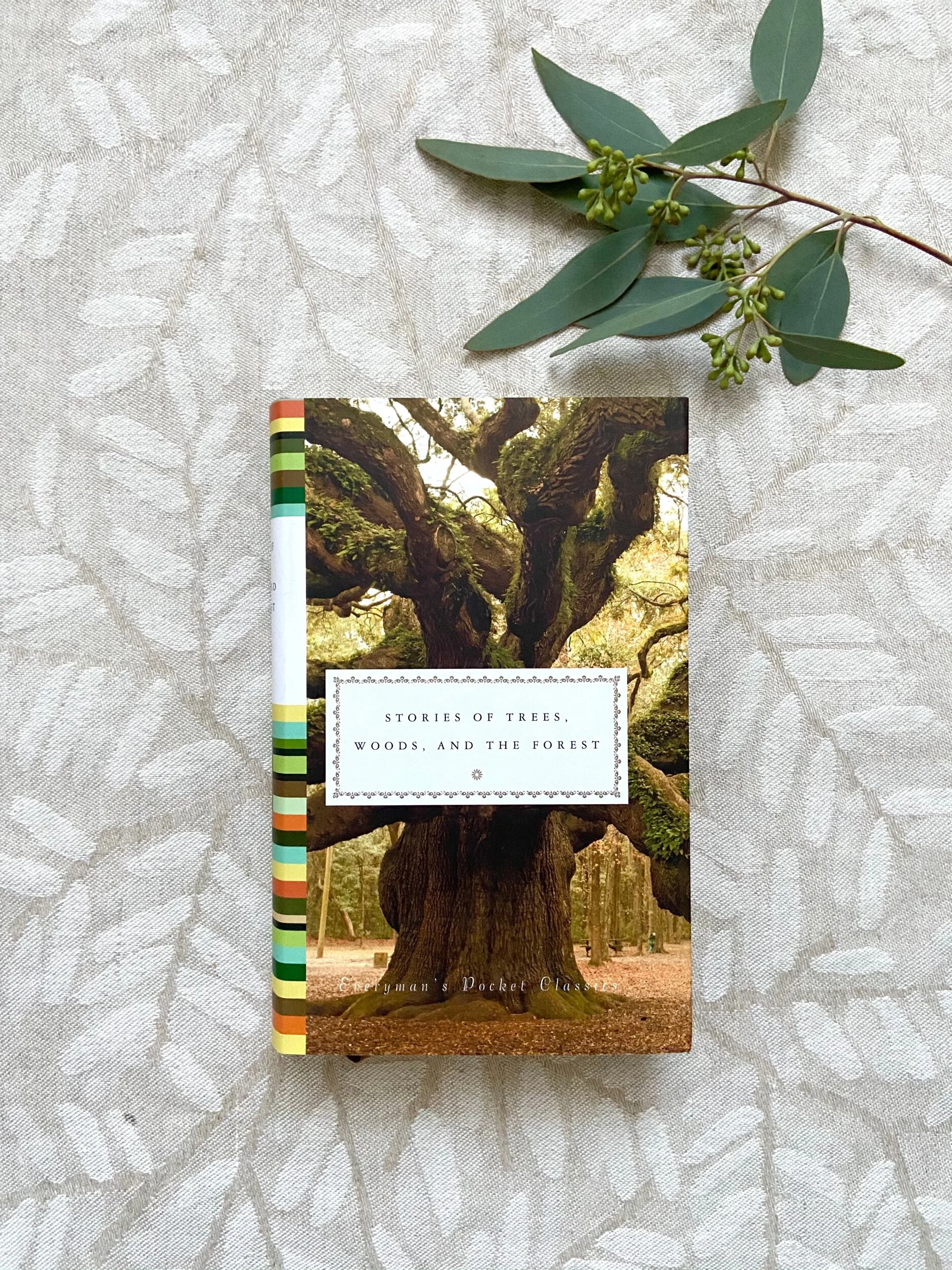 F00CF7E2-787C-4C63-8EED-71760849D535