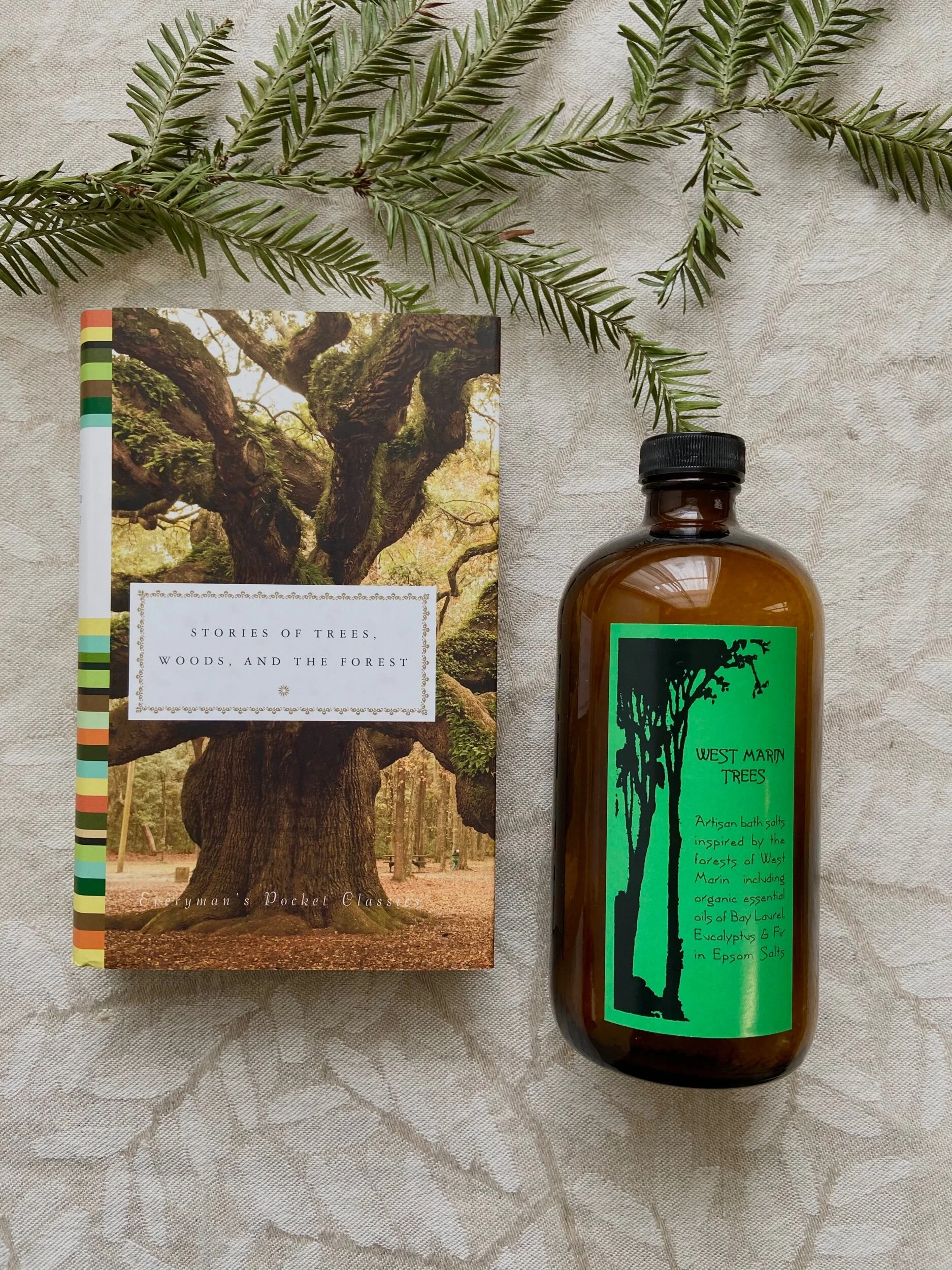 78DABF2C-7A25-4927-BE29-C9AB28A31584