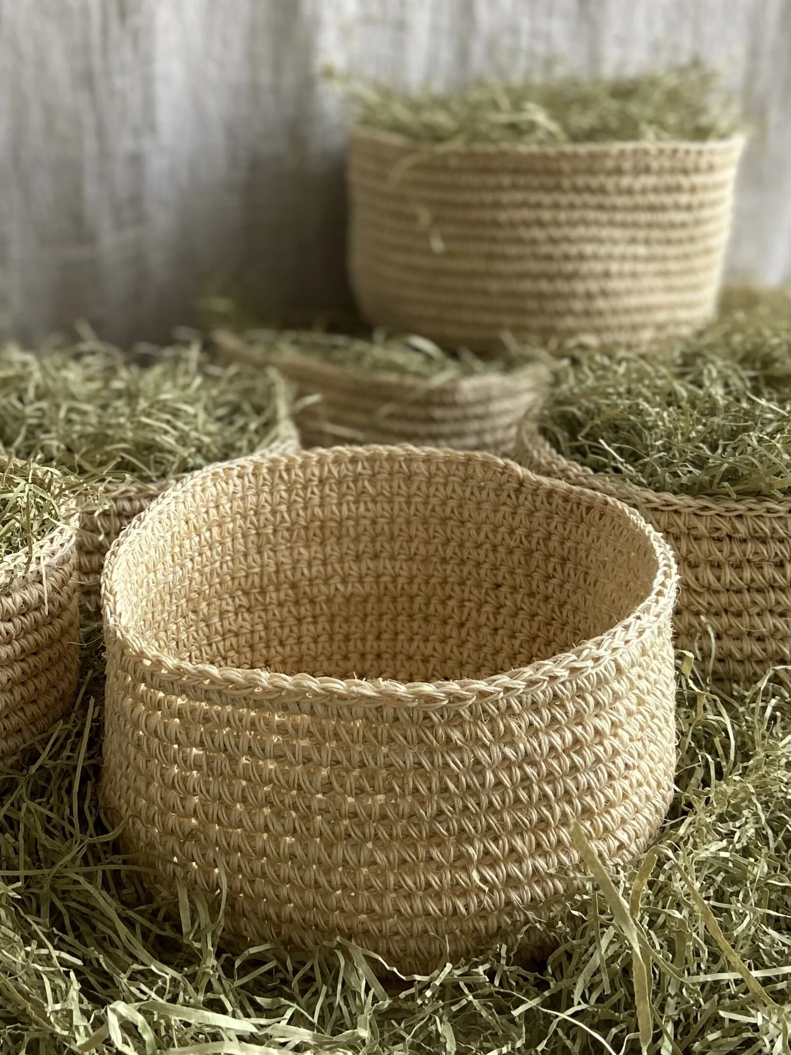 75E2B96C-189A-4502-A88B-75CD15893ABD