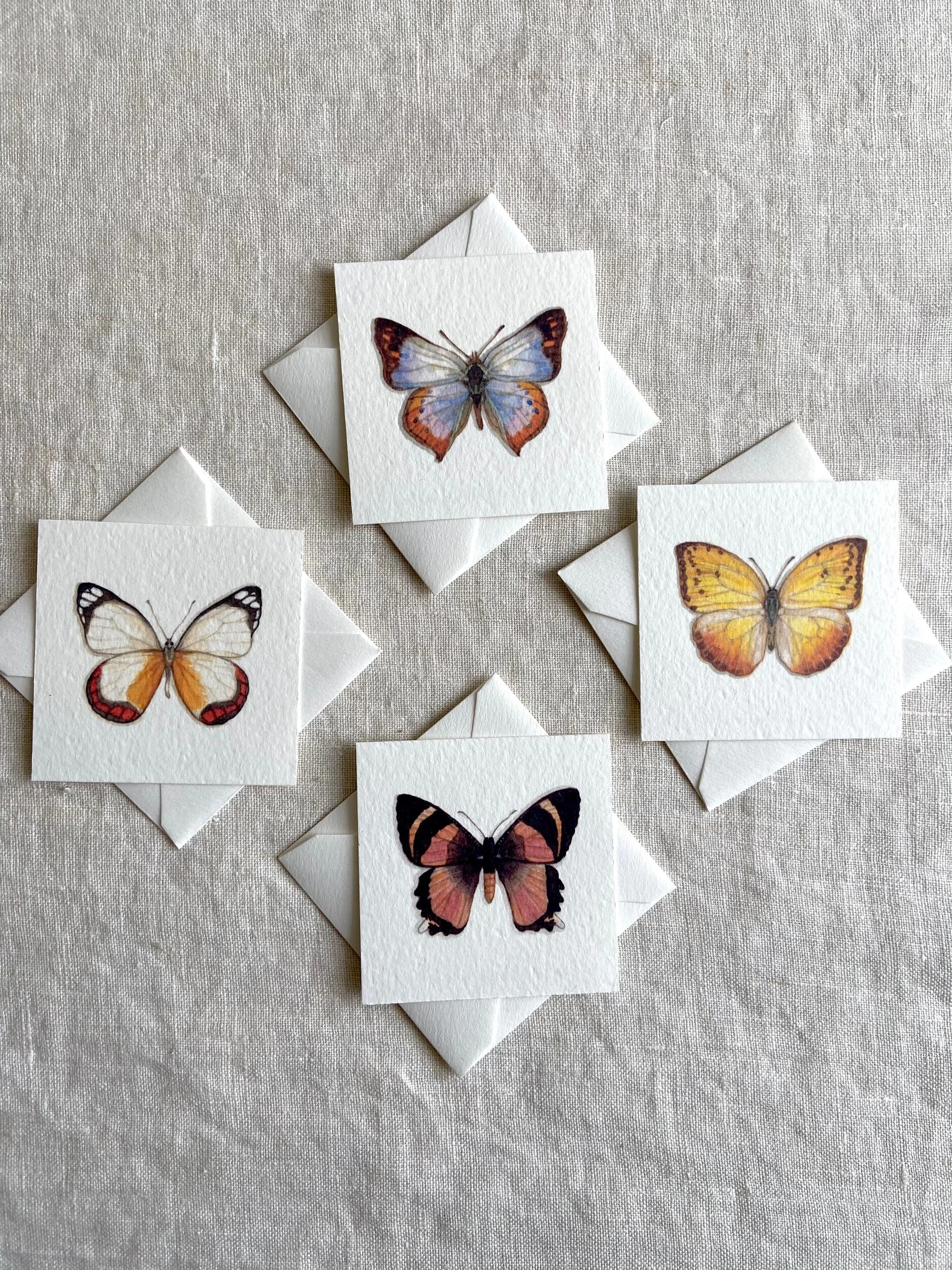 FF8E03BE-954E-4243-92DC-87A052B8382E