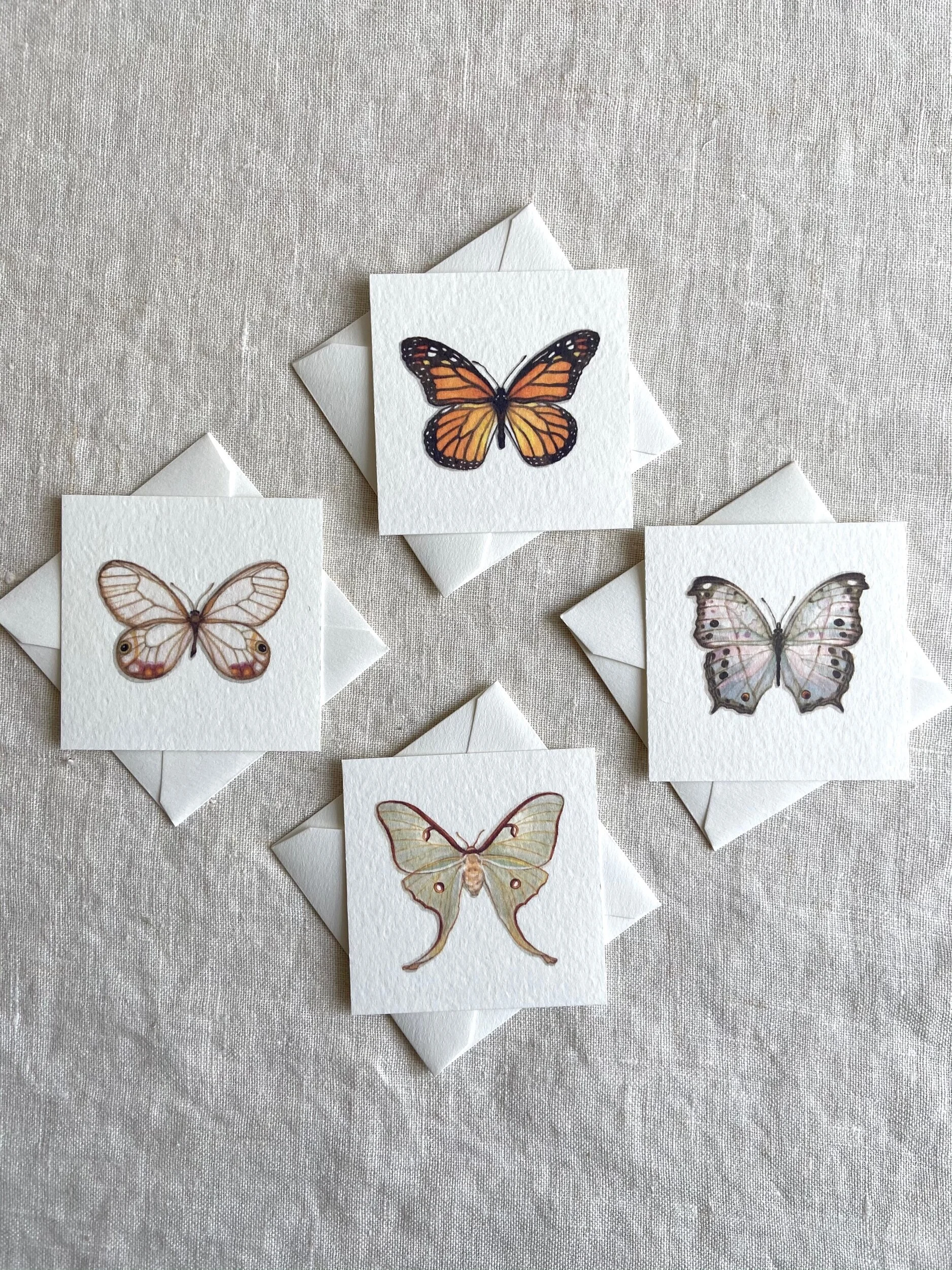 56F932DC-772F-4F5A-A84B-7F0A95A16B65