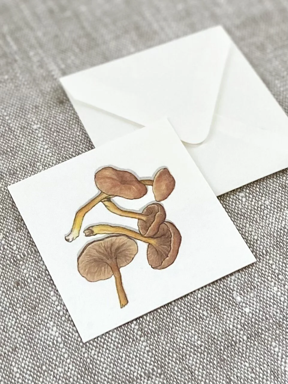 6CD6E996-6E3C-4DEE-BFA9-17E949D09555