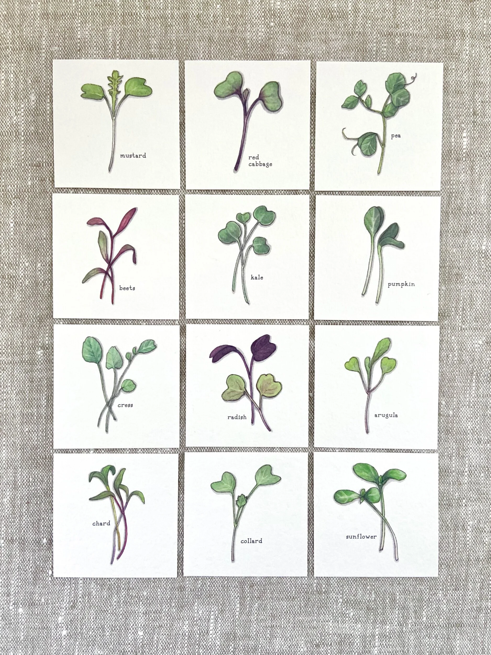 ED1DDAA7-F4DF-40C2-B735-344ECC8470EC