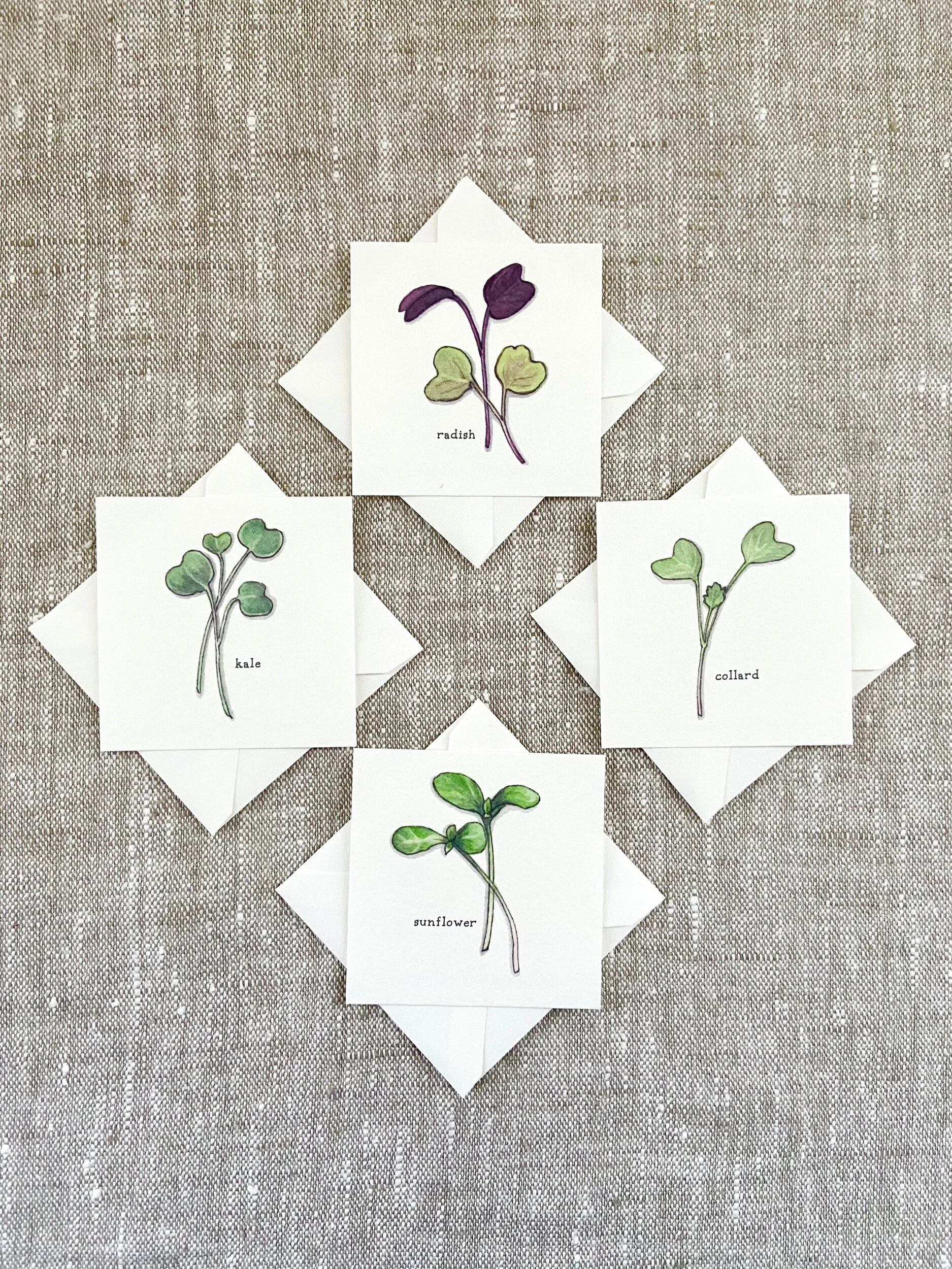 66314B52-8AF3-40E7-B271-B3CC3147641D