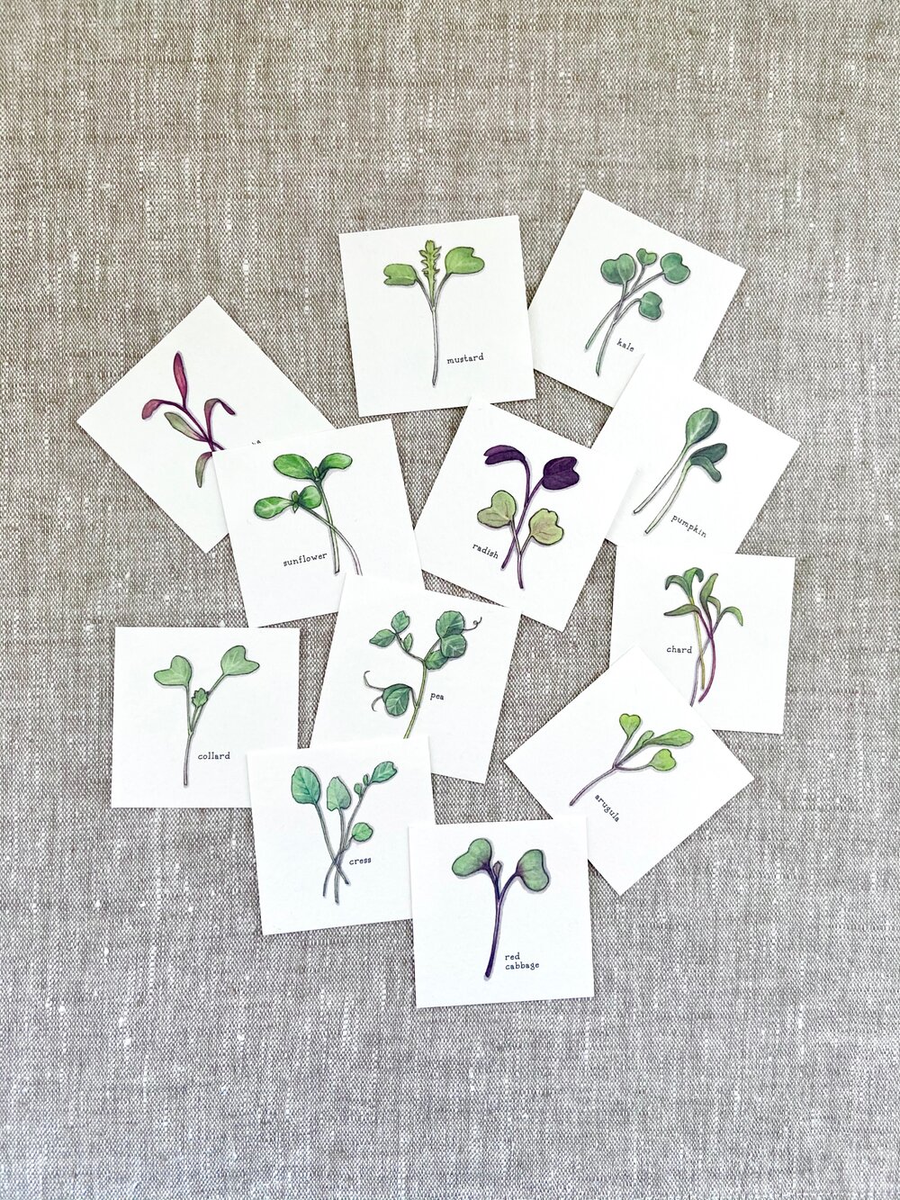 Sprouts and Microgreens Mini Cards — Good Gray