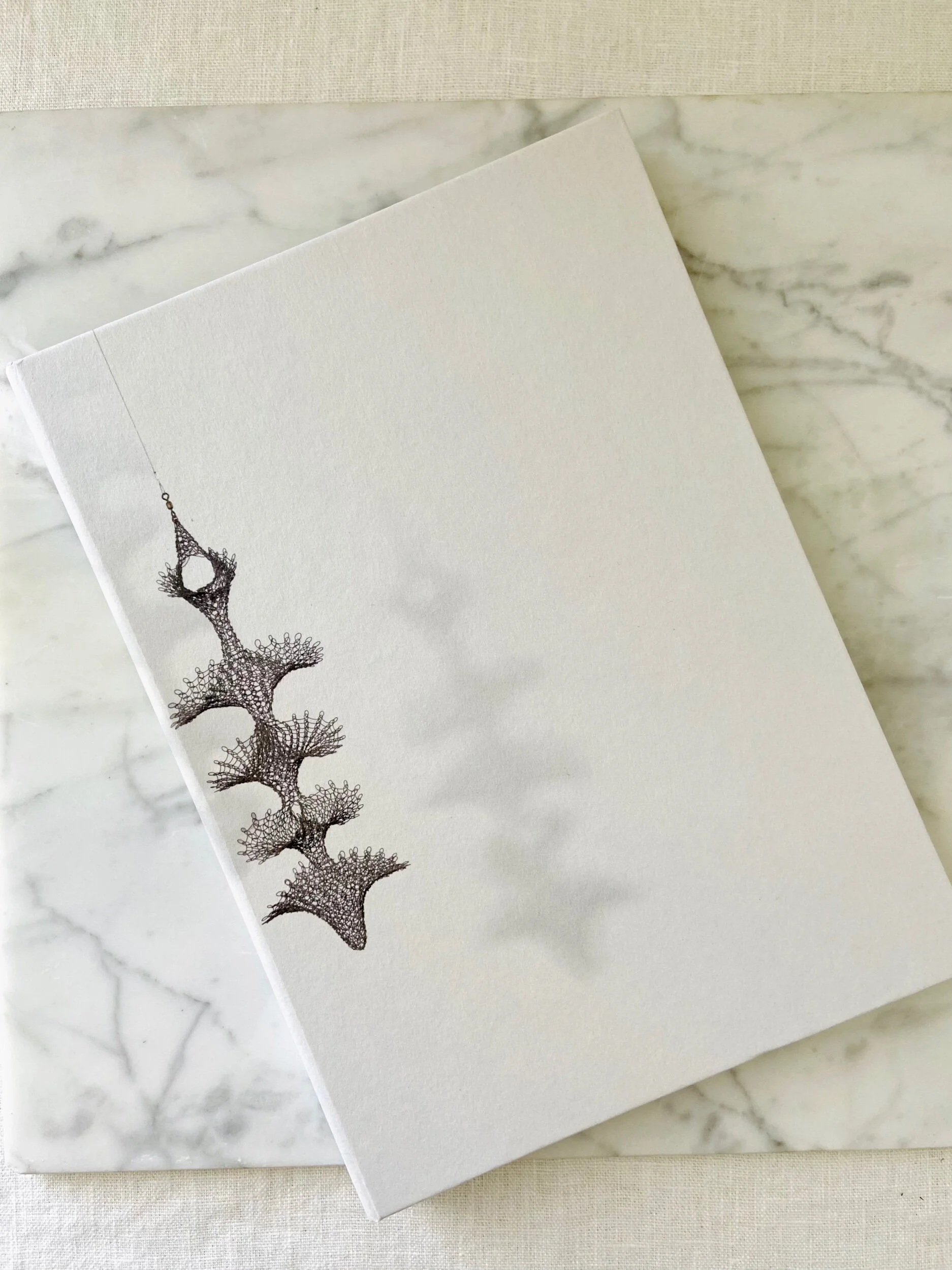 48BDDDE9-BECF-454C-9373-D684F0734A65