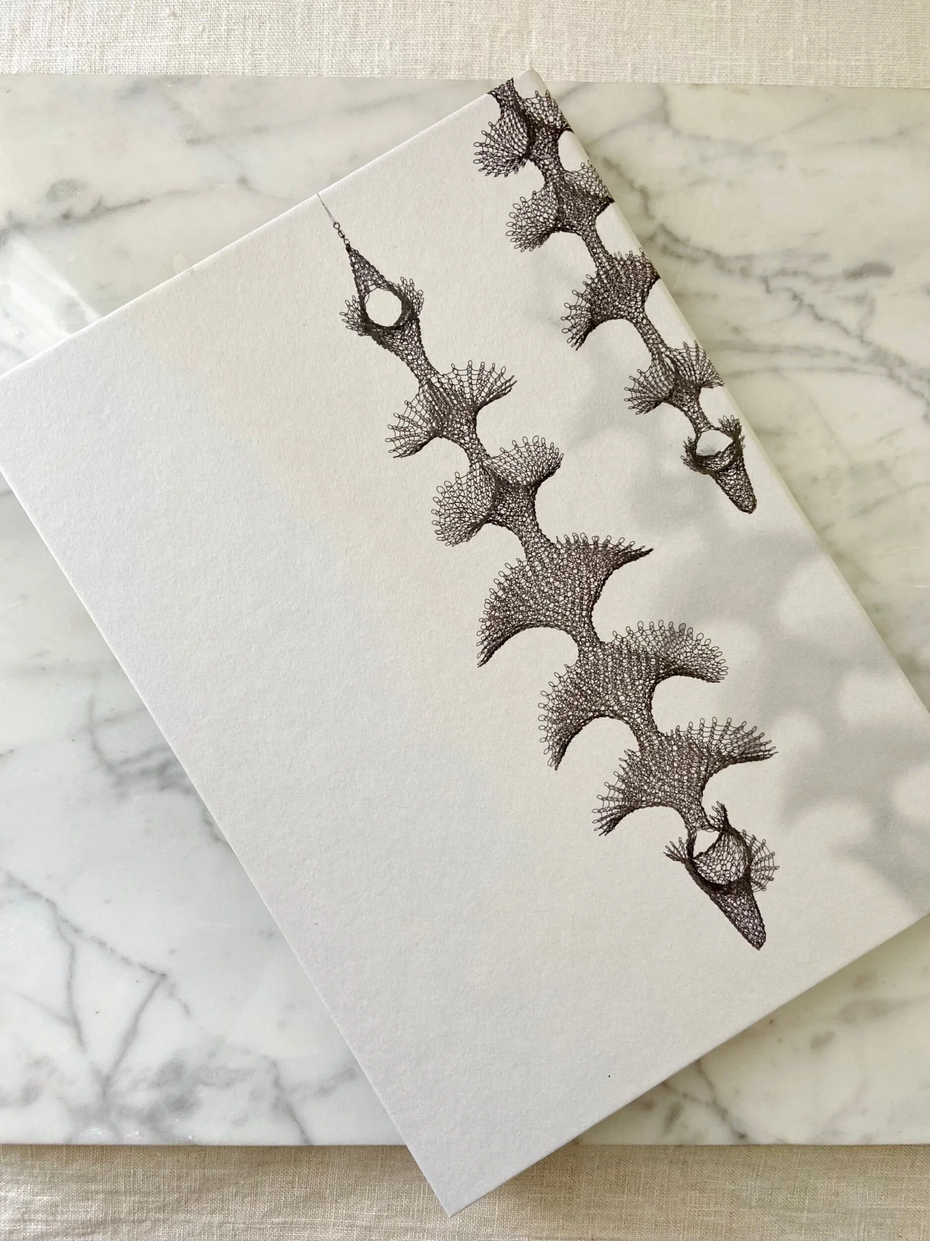 11244ABB-3E38-43A1-B32D-C98FF5CEF1A4