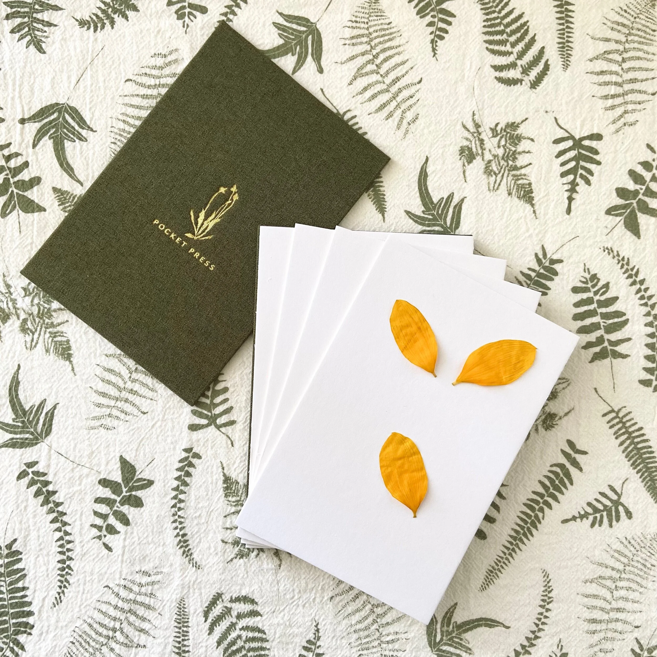 9EF3AC5C-F1B7-4A89-8052-D638D96450F9