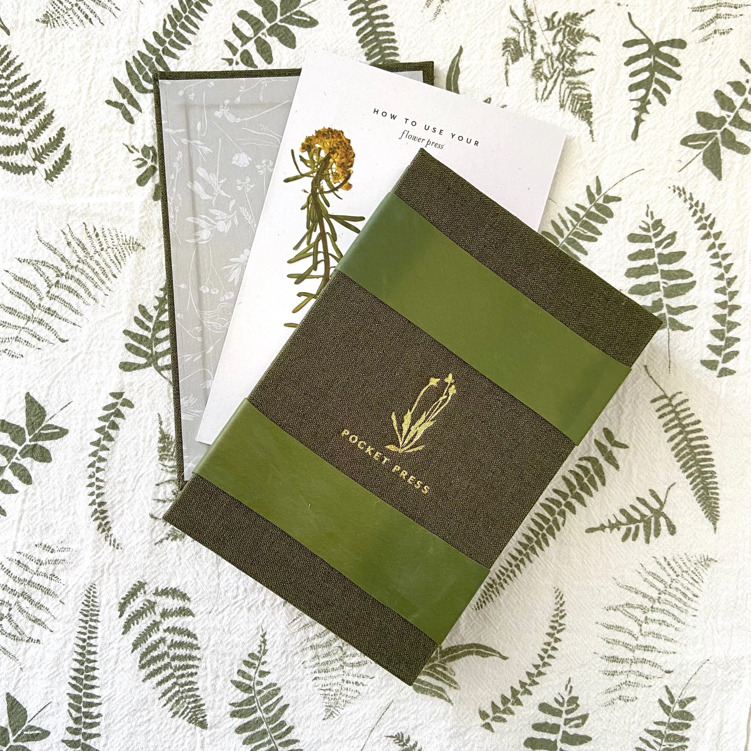 271EADB4-6985-4518-9F69-508F1386C954