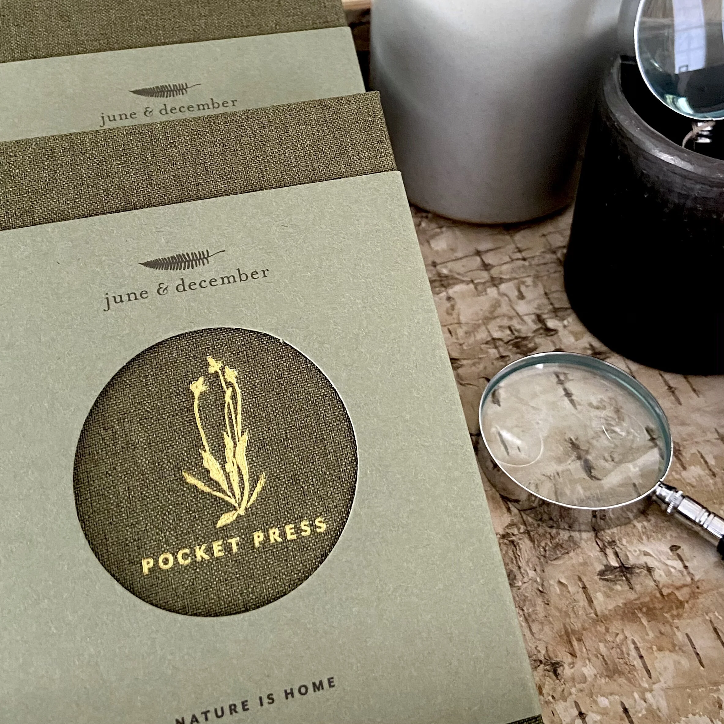 E2B35B99-A461-42B4-9655-40EF56B17BE2