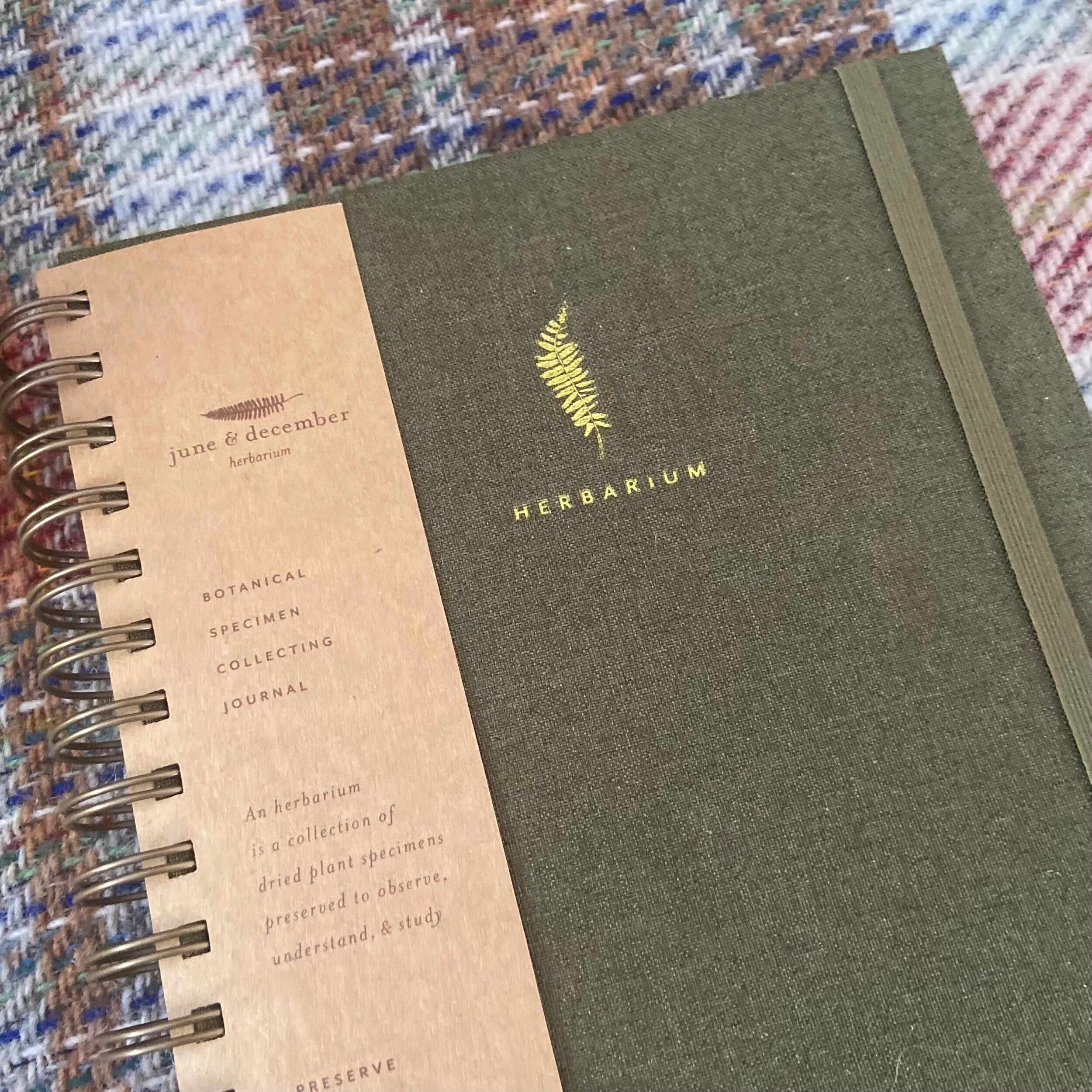 C2AA1B54-ACF9-484D-B389-2B87A0FE2EFA