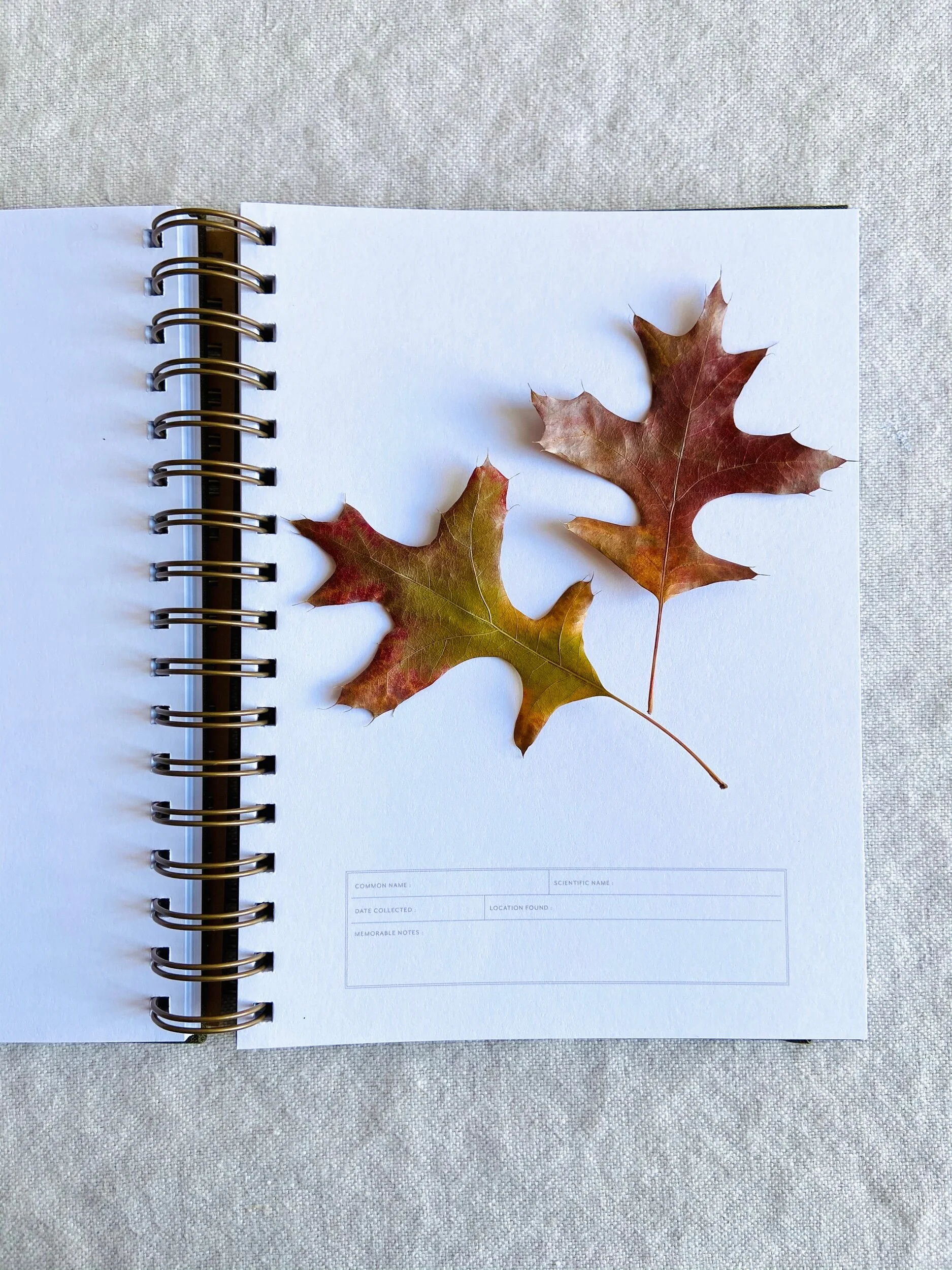 7A67608B-633A-4232-BD7F-B5C2B30A5F5B