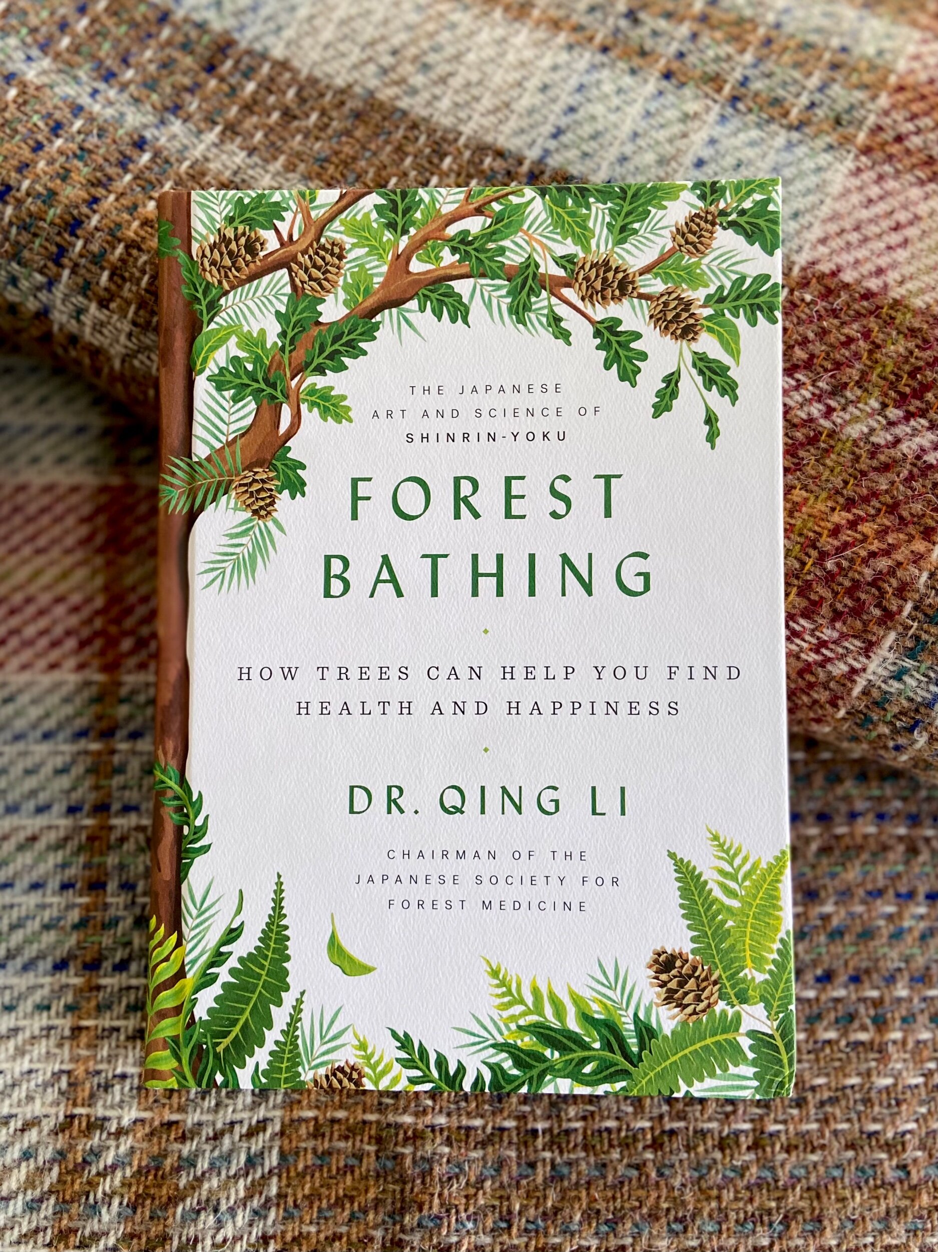 197C972E-CE1A-4443-BBF2-EF0AF70D0B03