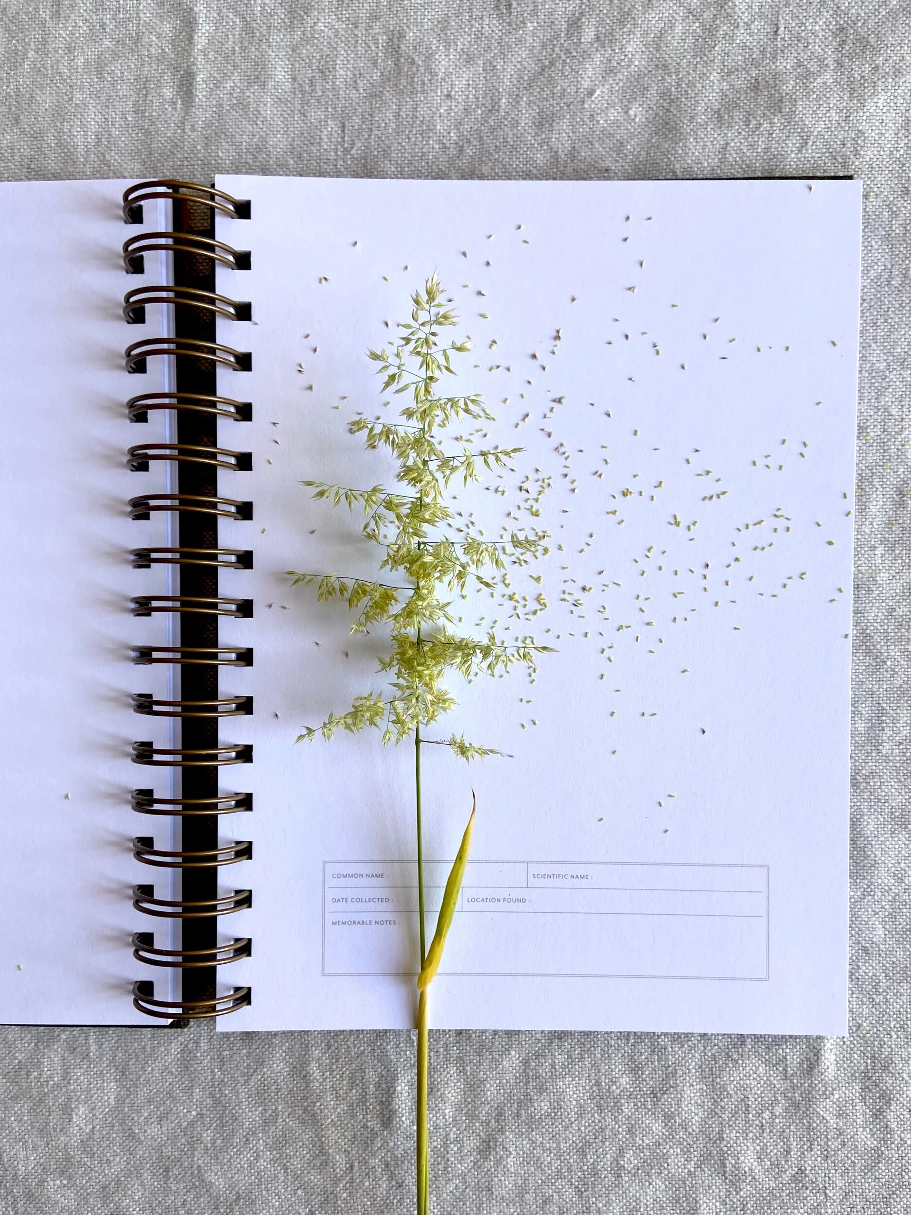 7BE2D05A-5D5B-44DF-9BB5-37A2BD741921