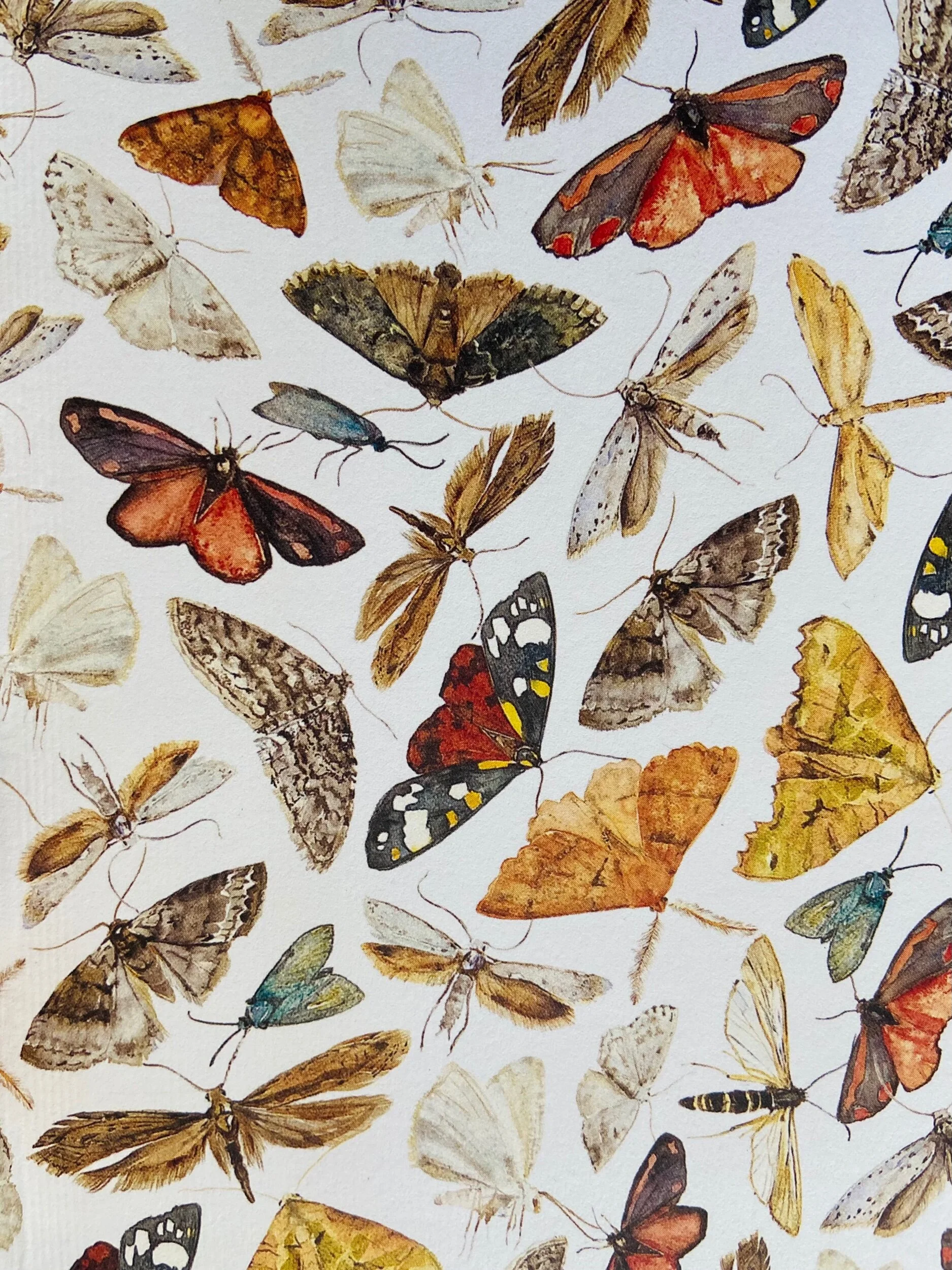 8476A81C-45DD-440A-A847-081C031409E1