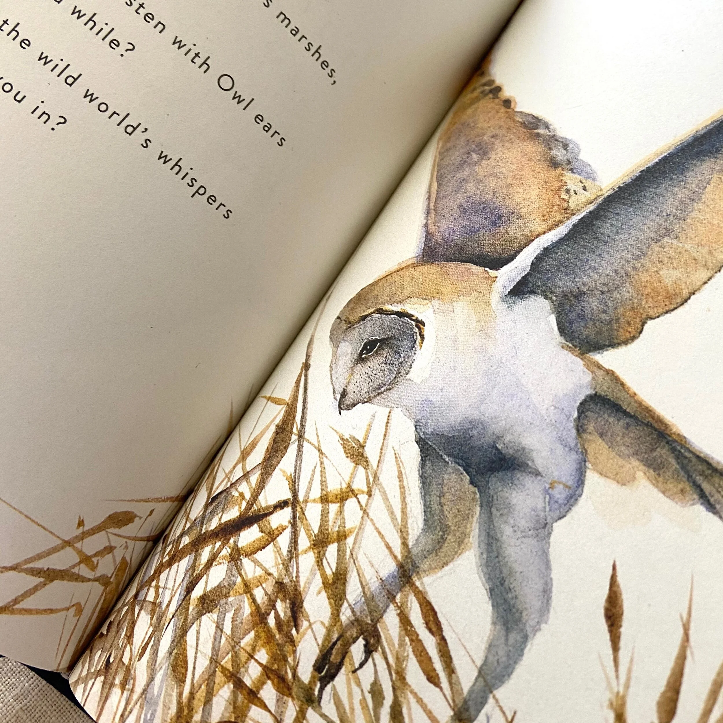 890CE67D-399B-4886-91C7-F2028FE5209F