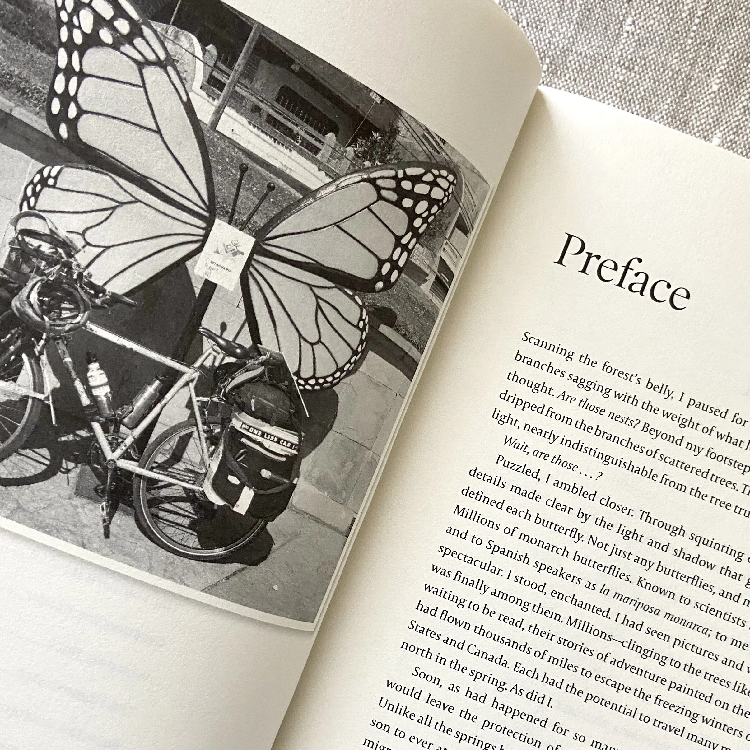 2B7BB8D1-4B20-40E1-81D4-35EADE26EDD1