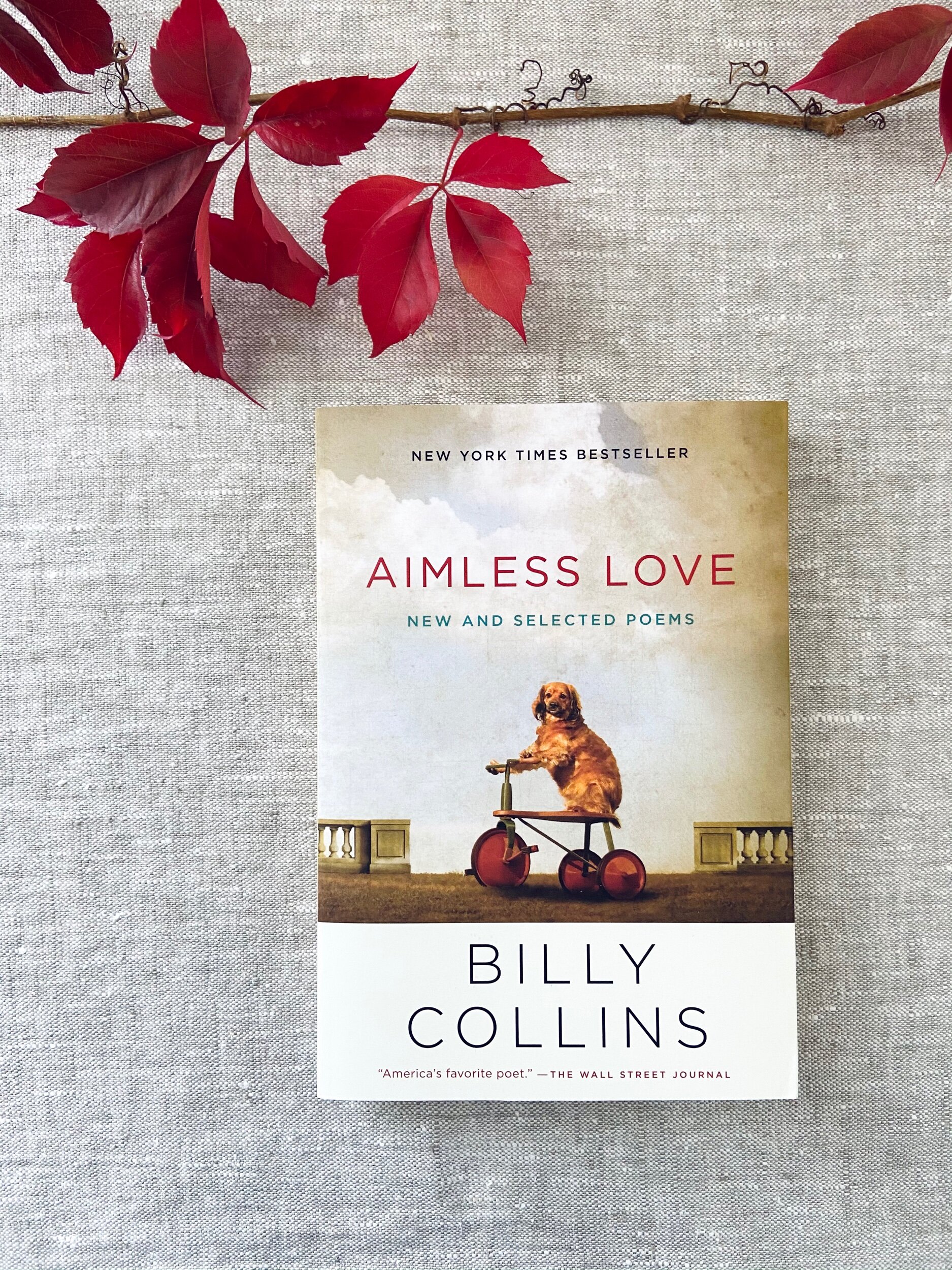 3B1F0E73-9F99-4257-9553-B45CA21FE497