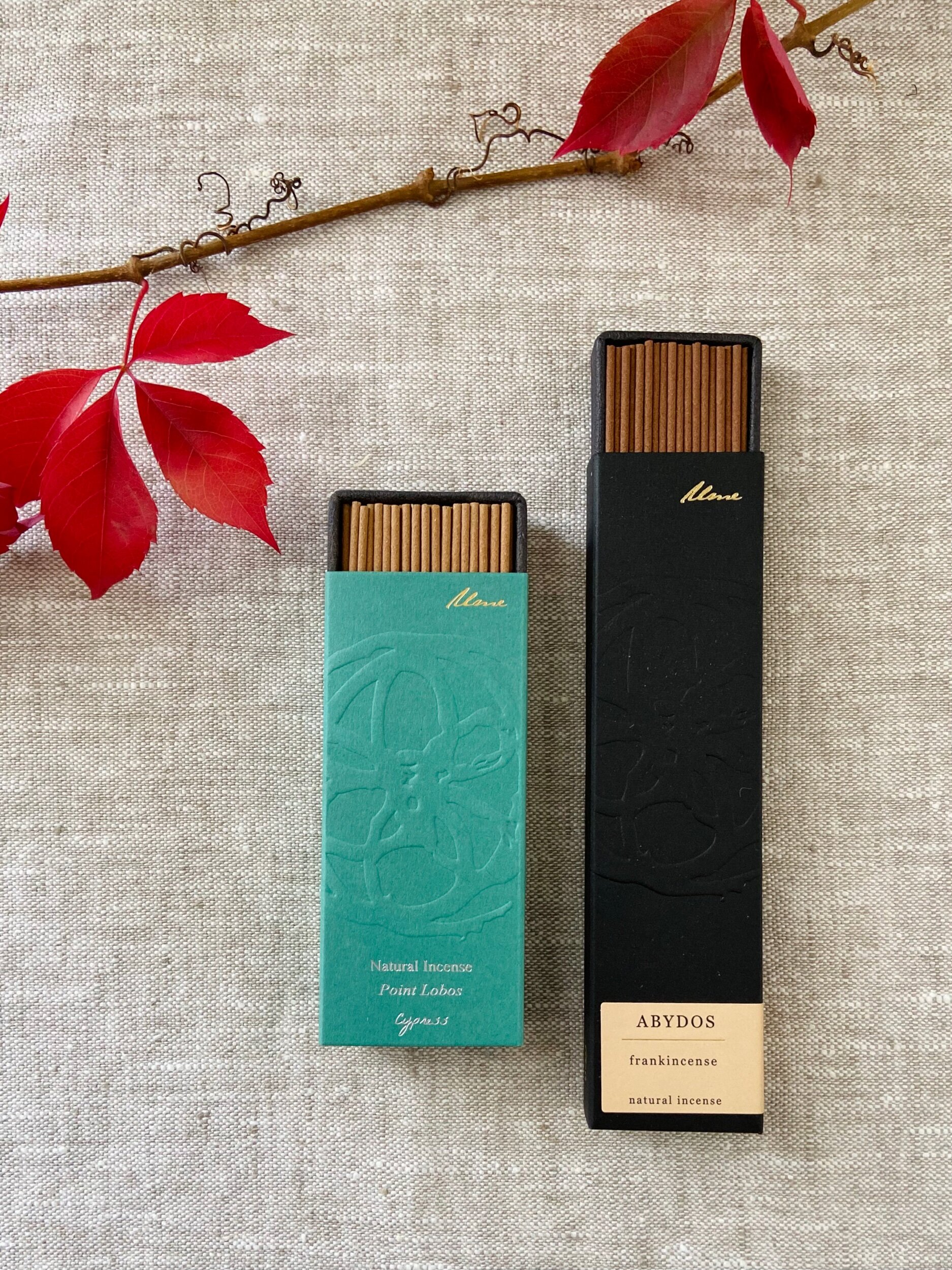 3B577BE3-7D8D-4C3F-9632-F4BB84DF4E9E