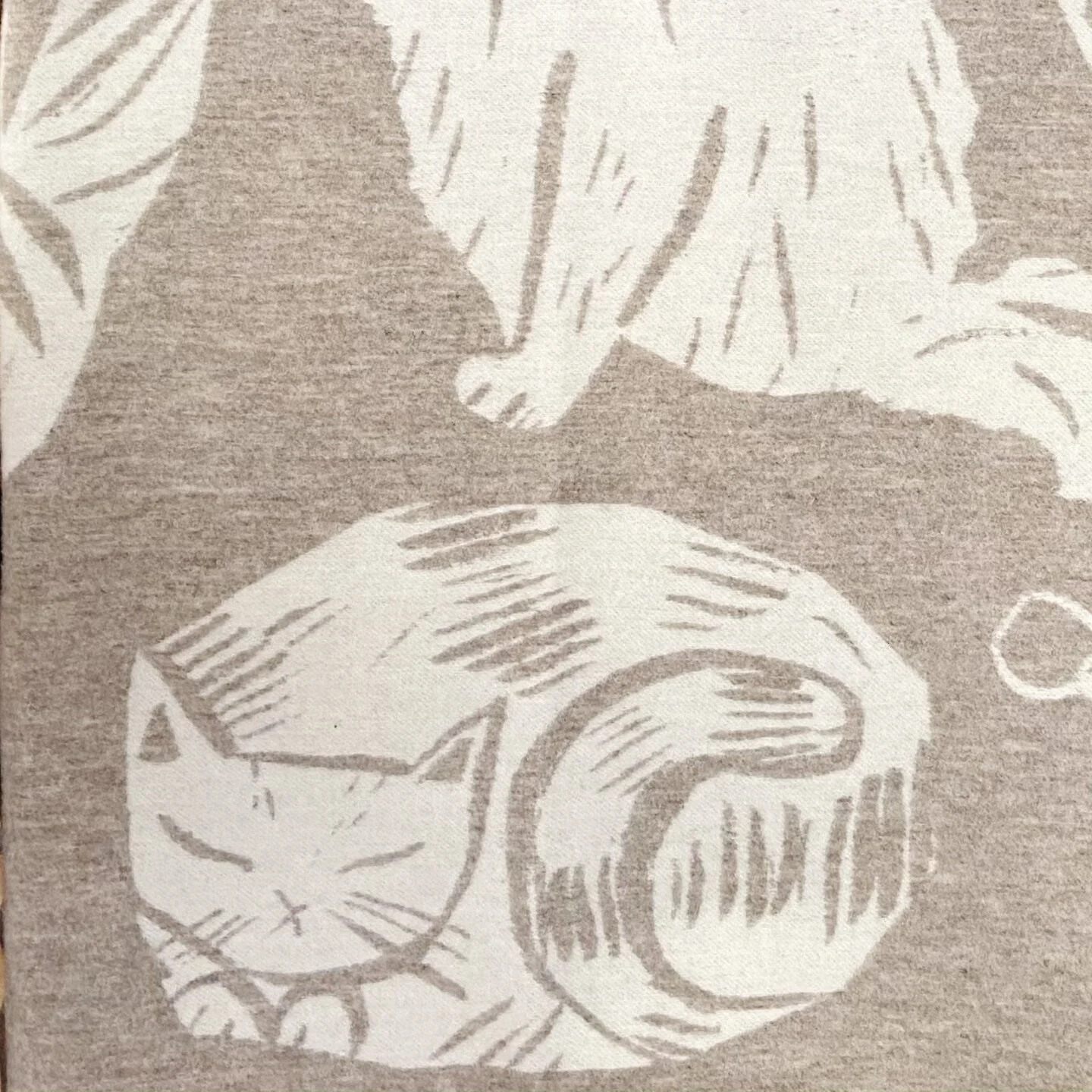 026079E5-92A0-4E04-87A8-3277406849DD