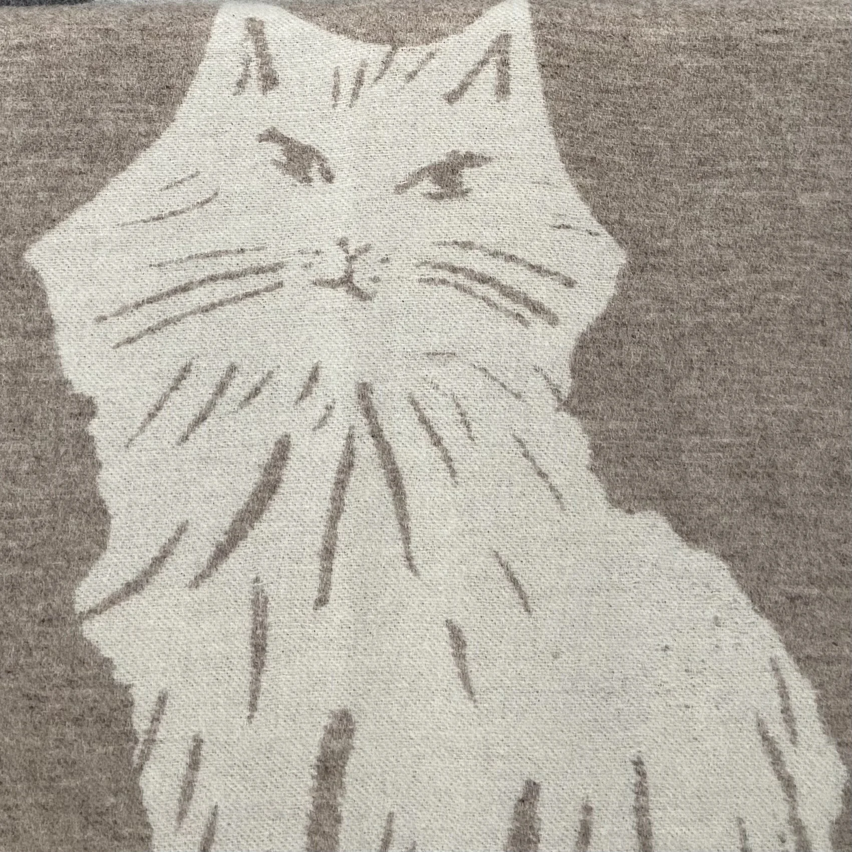 9E90862C-AC95-4787-83D5-A8B9A30F5E17