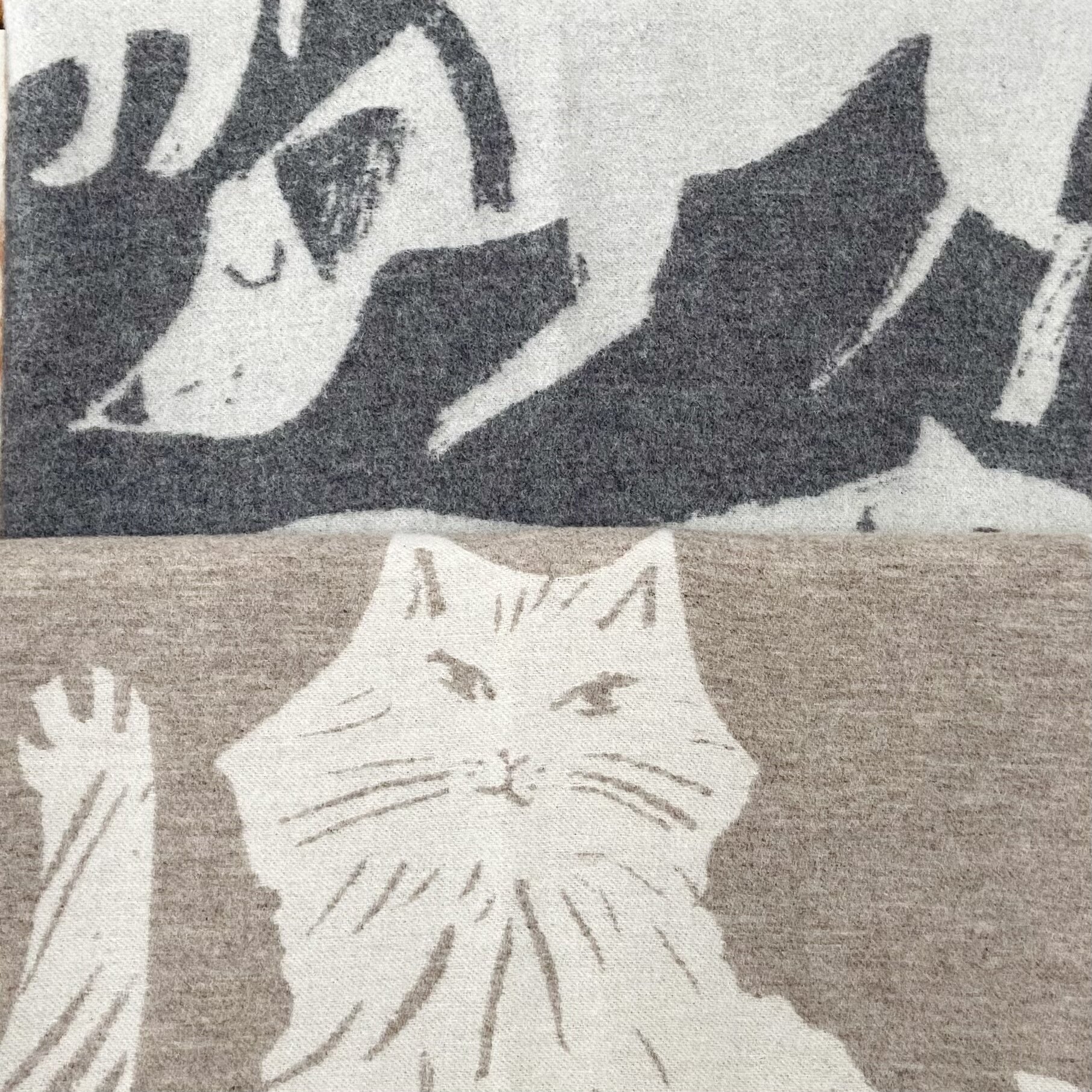 DFD643E4-3828-476E-BCBA-46BE8D0D5479