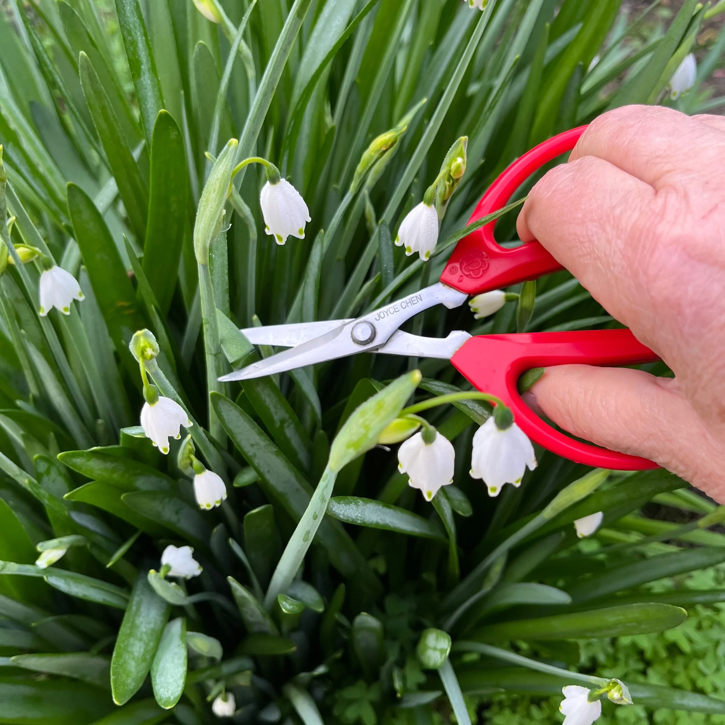 B5A5A1CF-305E-4835-8917-099CA57B89A4