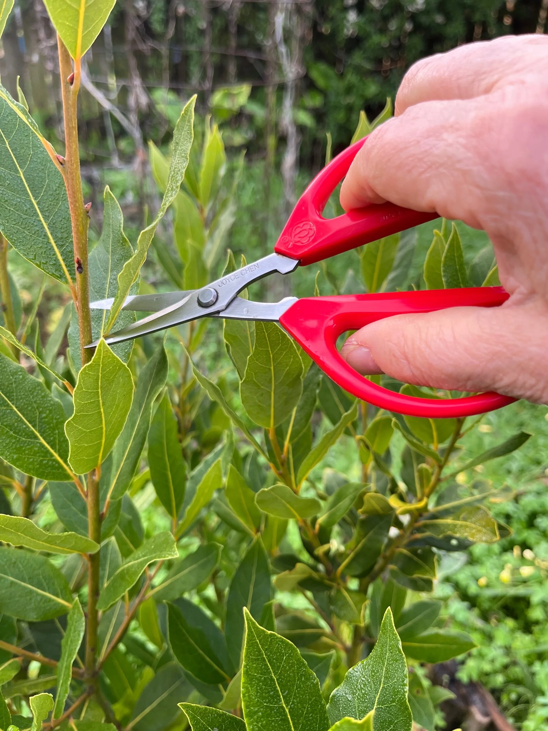 C59D6E7F-ED2E-46F0-872A-BA7A96C36107