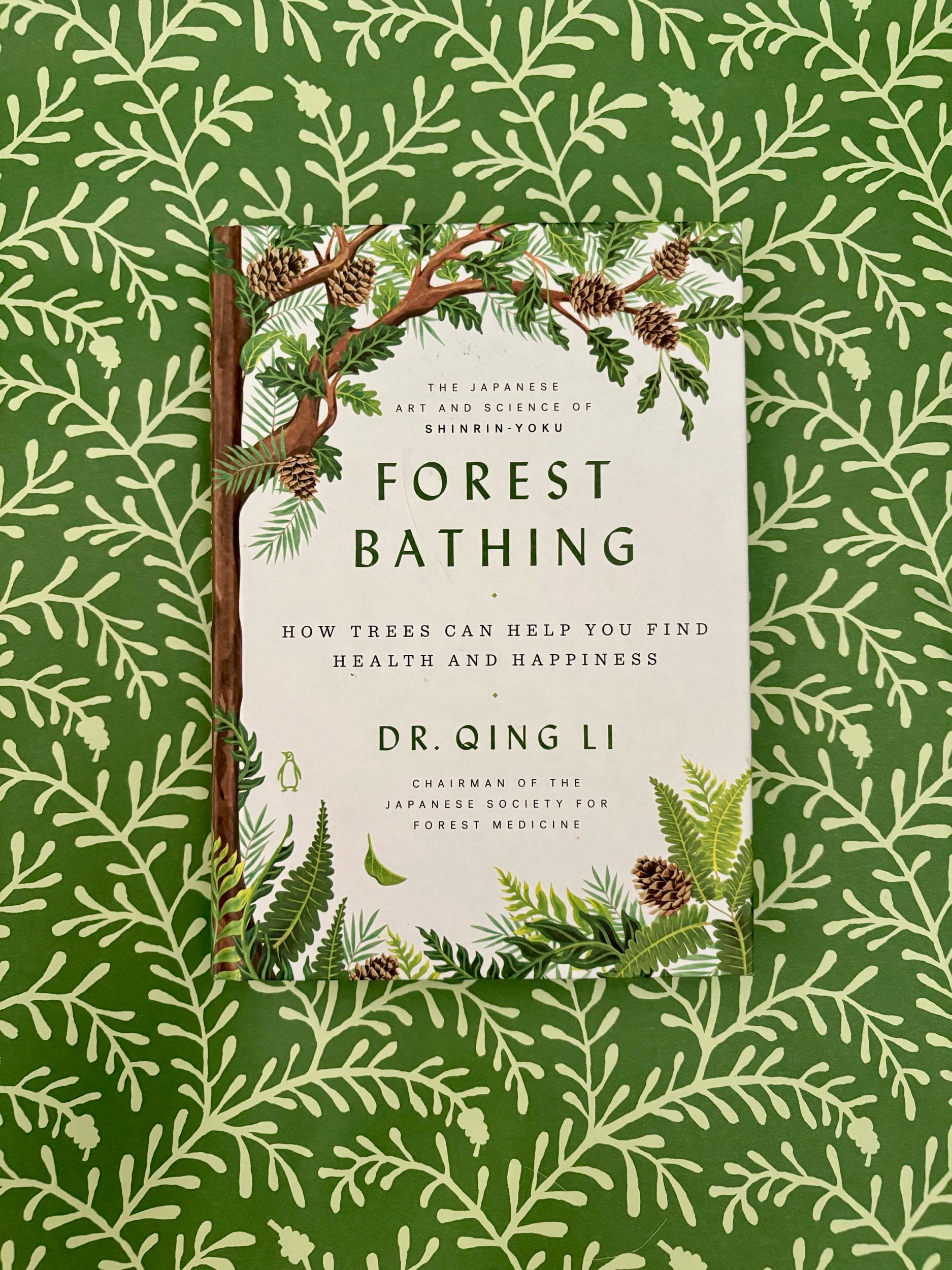 Forest Bathing