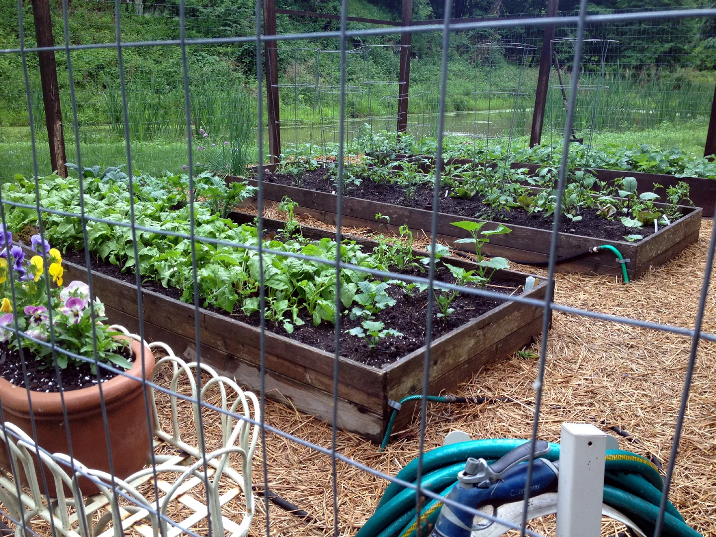catskill-veg.jpg