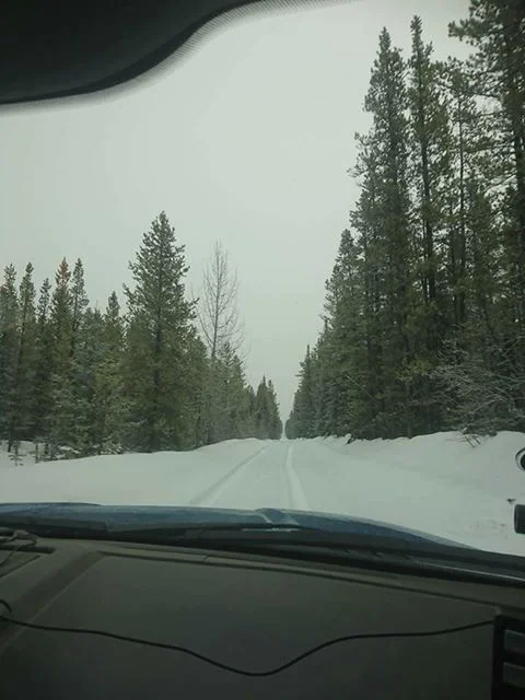 29665903_10216278517778560_268191_n.jpg