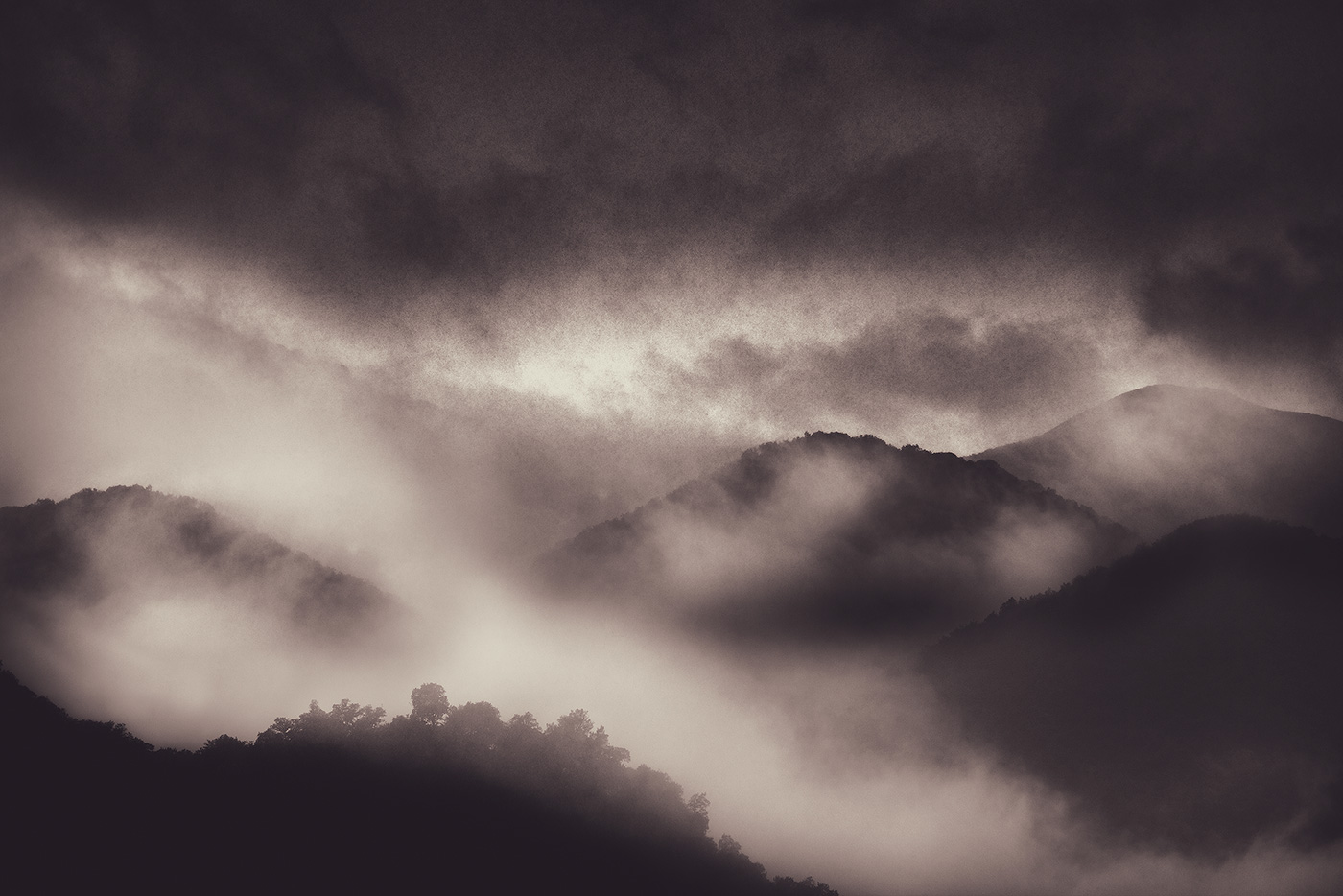 mountain mist, toned
