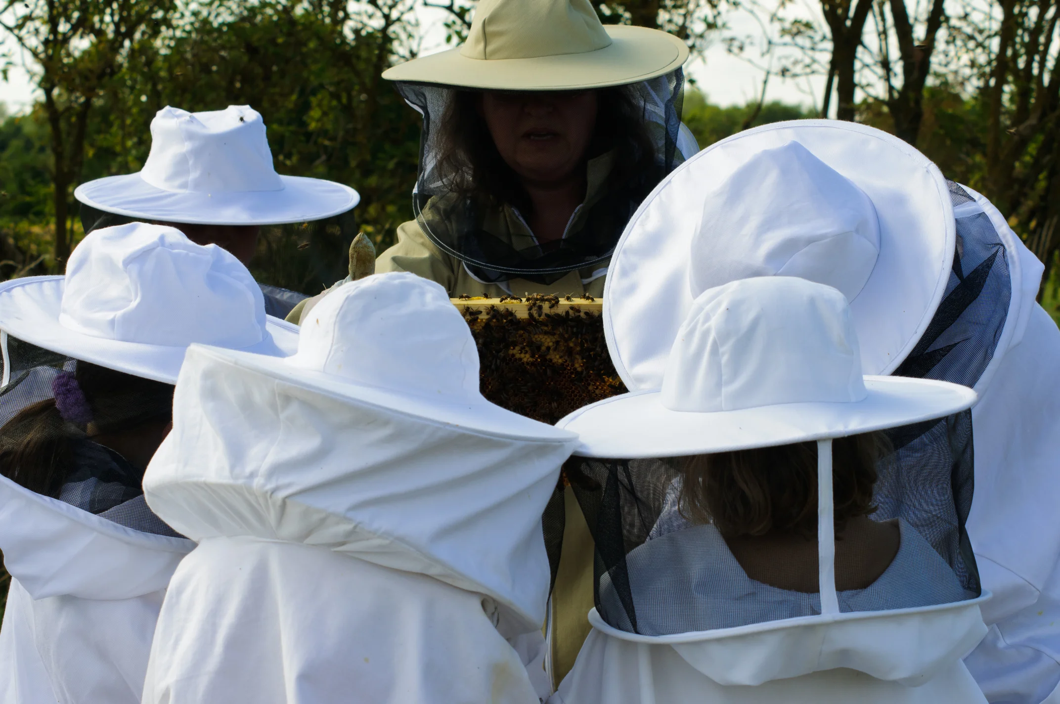 Rosi checking bees with assortment of kids