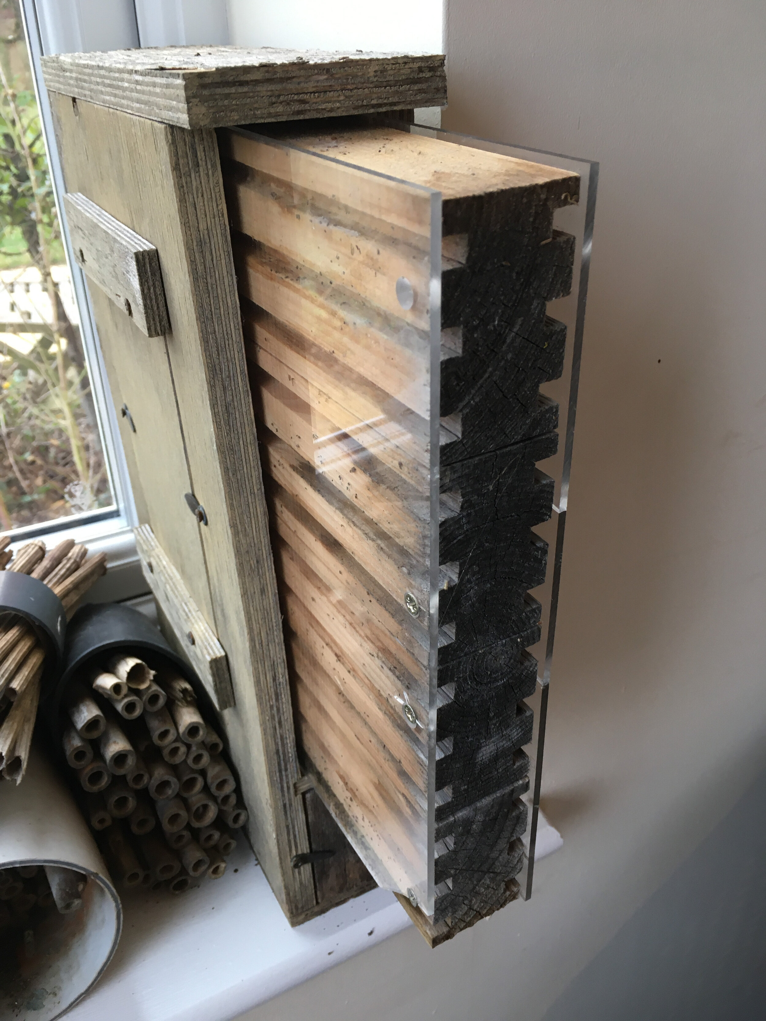 bee hotel nurturing.jpg