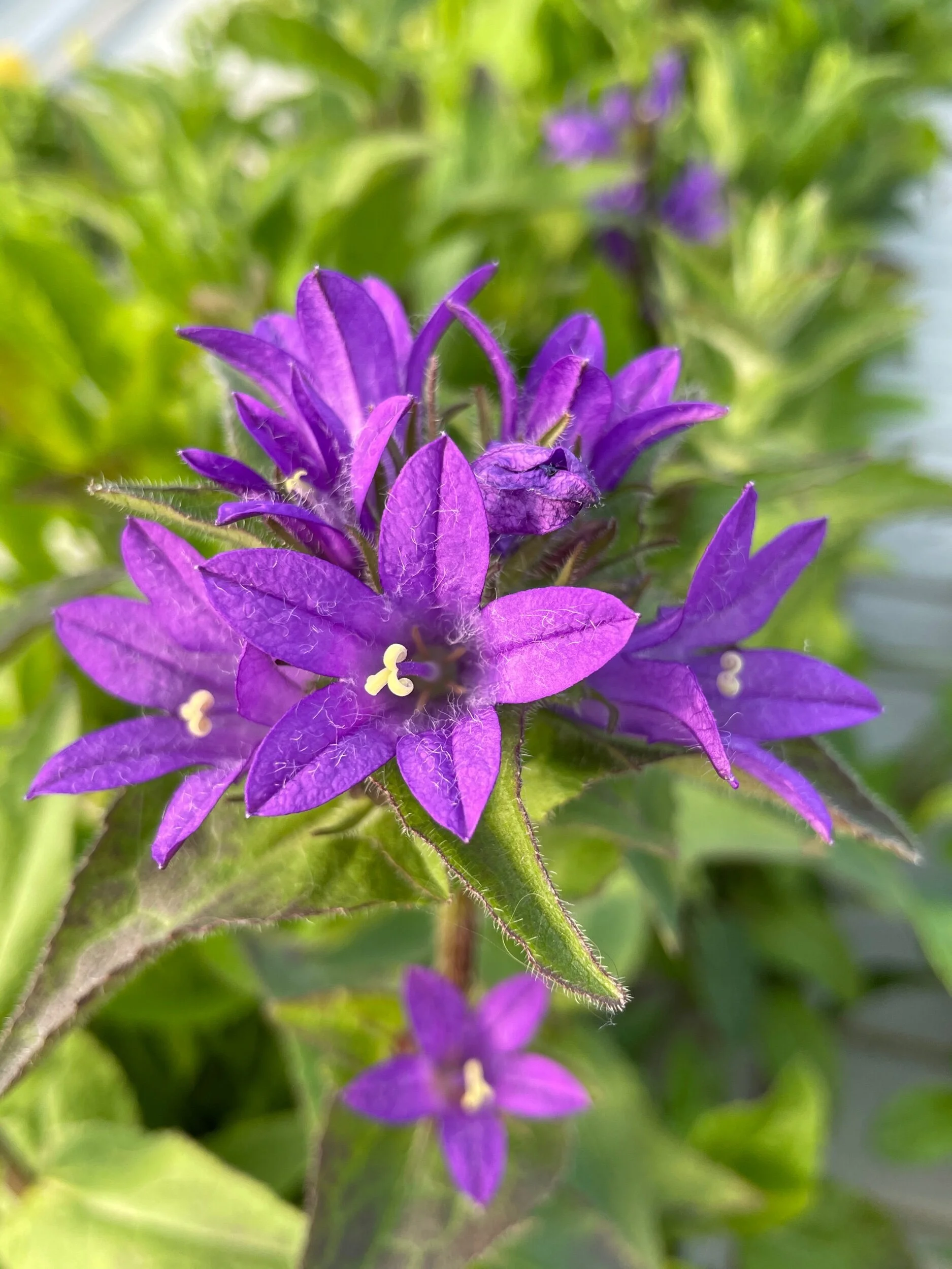 4CD66B5A-A54C-4EB6-94B3-79802DB20AC9