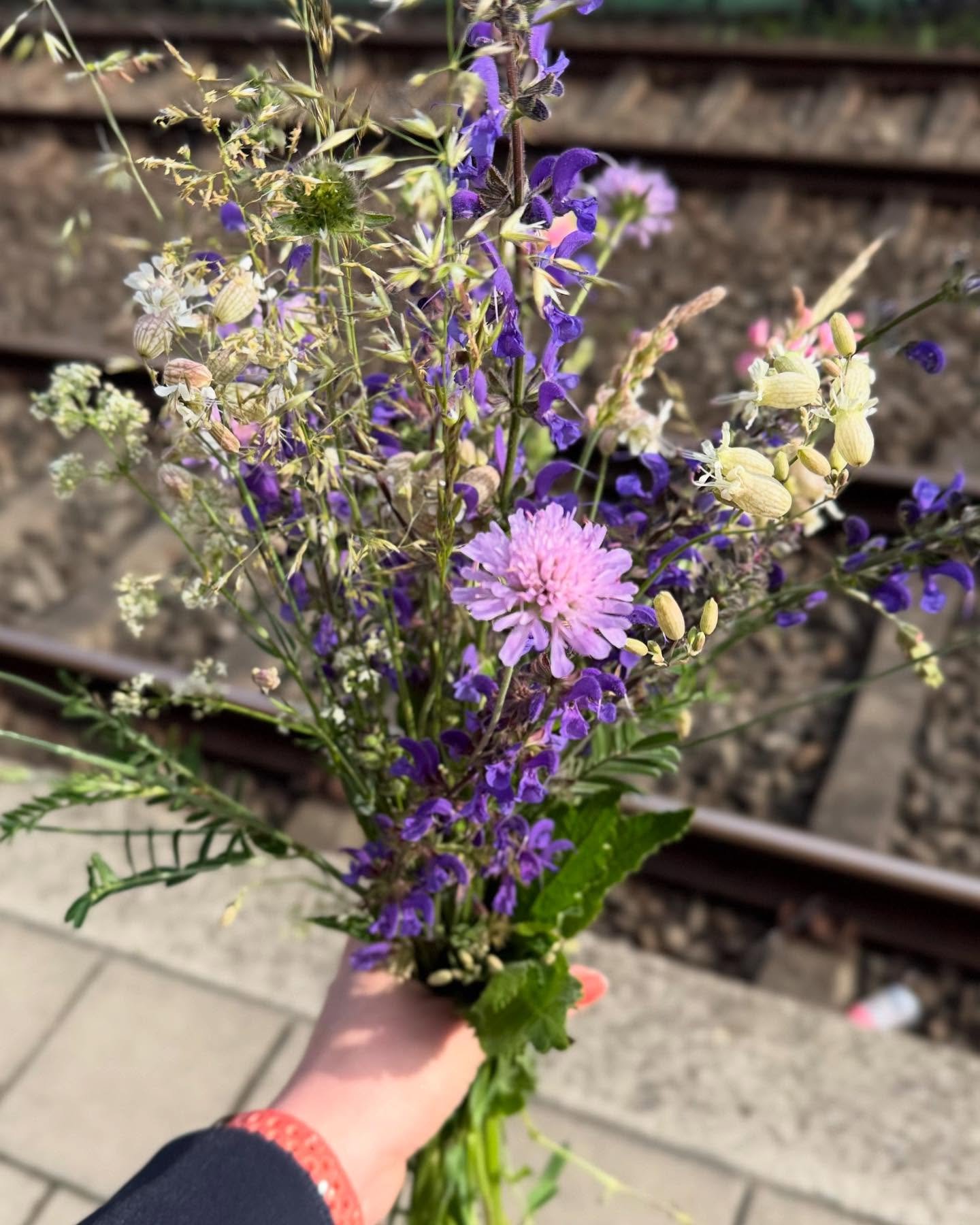 Wenn das Leben dir eine verpasste Bahn gibt, pfl&uuml;ck Wildblumen auf der Wiese am Gleis!

Weil ich noch nicht zufrieden war mit dieser Umdeutung eines ber&uuml;hmten Sprichworts und die n&auml;chste SBahn Versp&auml;tung hatte, bat ich ChatGPT um 