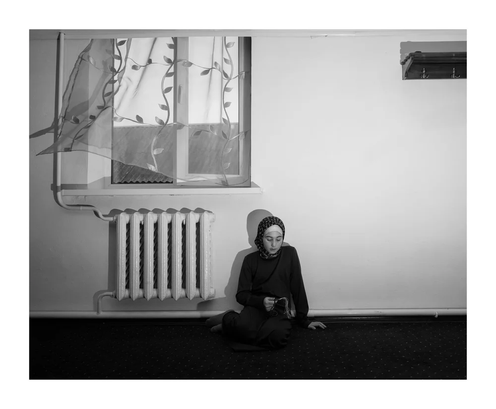 Portfolio - 