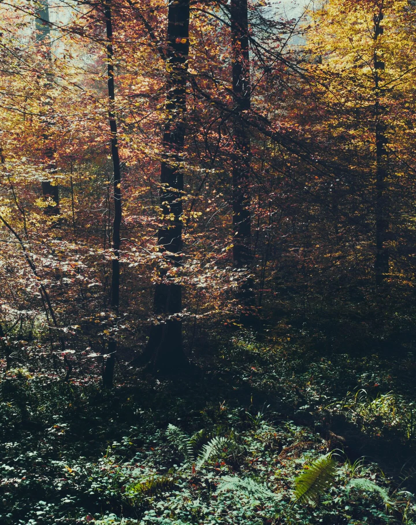 It was late afternoon in Z&uuml;rich, one of those pale February days that hang in the air like a held breath rather than a season.[&hellip;] All week, the news had been trailing reports of Russian troop movements, long columns of armoured vehicles s