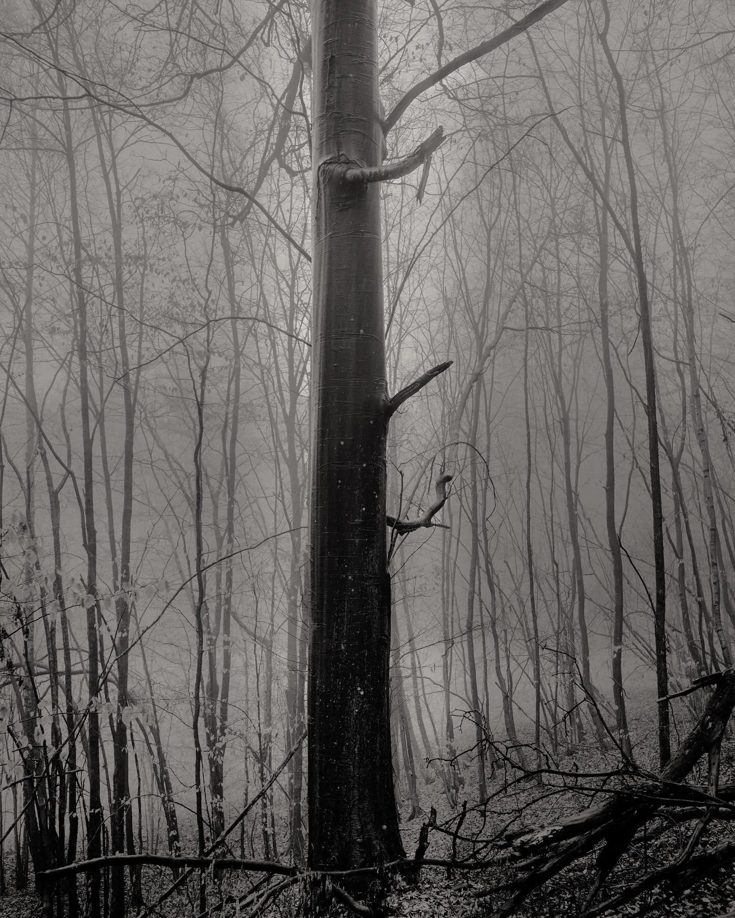 San Vi&rsquo; 2025 &ndash; Genea Illogica, Part 1. 
For most of my career, I&rsquo;ve photographed systems : energy corridors, economies, extractive frontiers and human conditions. &nbsp;Projects like Sinomocene and Critical Minerals &ndash; Geograph