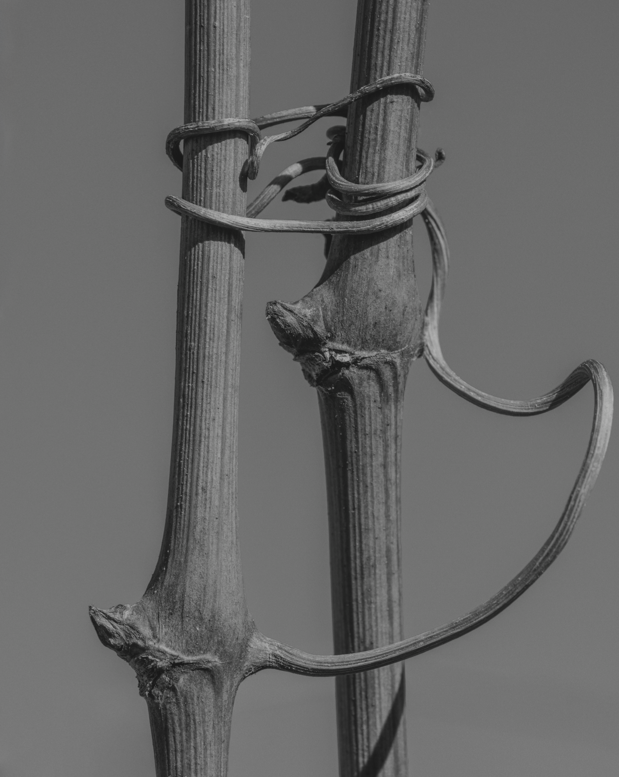 Screenshot 2026-02-05 alle 11.59.51.png