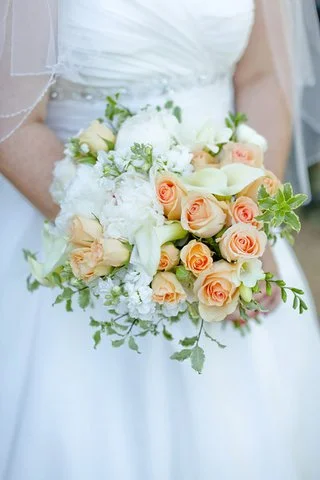 Carley Rehberg Photography