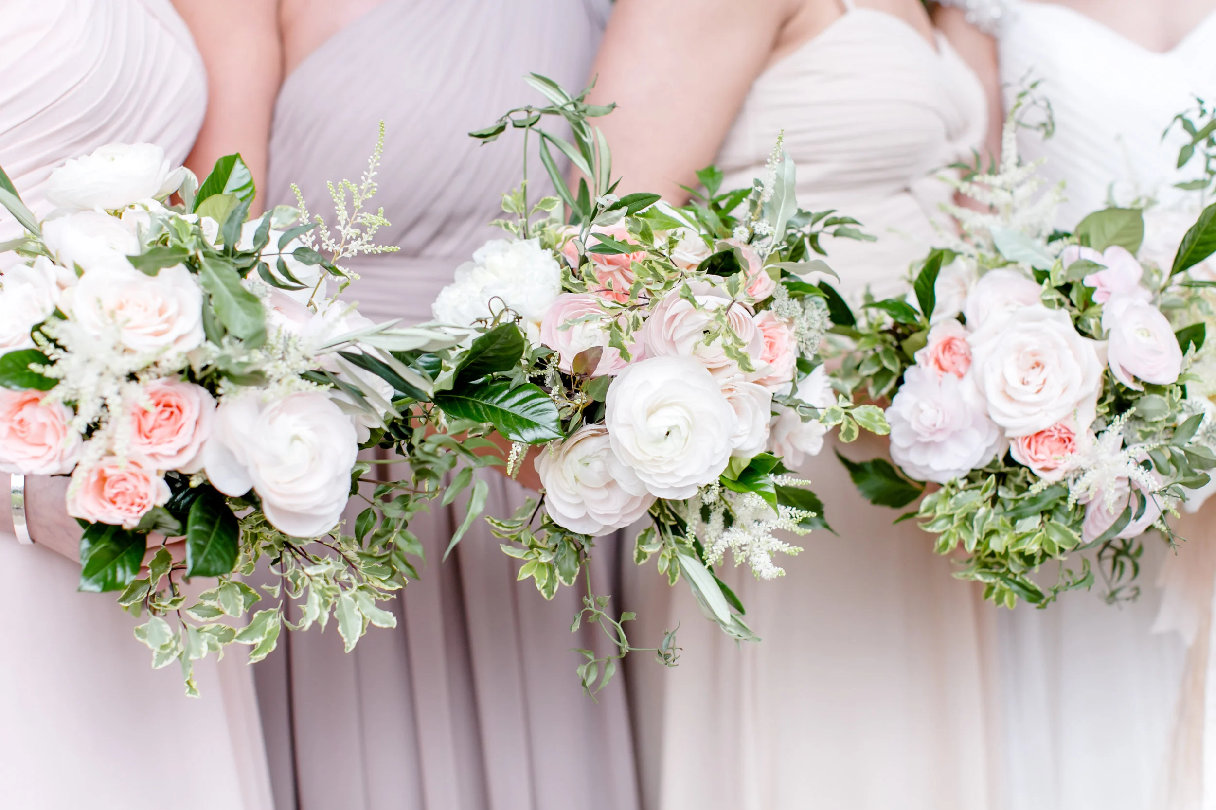 Carley Rehberg Photography