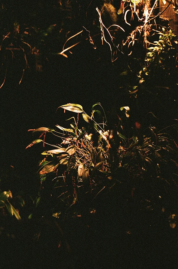 For the Weekend: Read This Book.