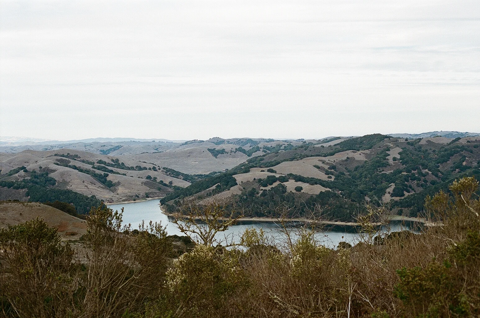 Everyday Adventure: Tilden Park