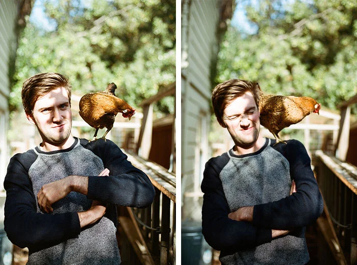 Living with Animals. 